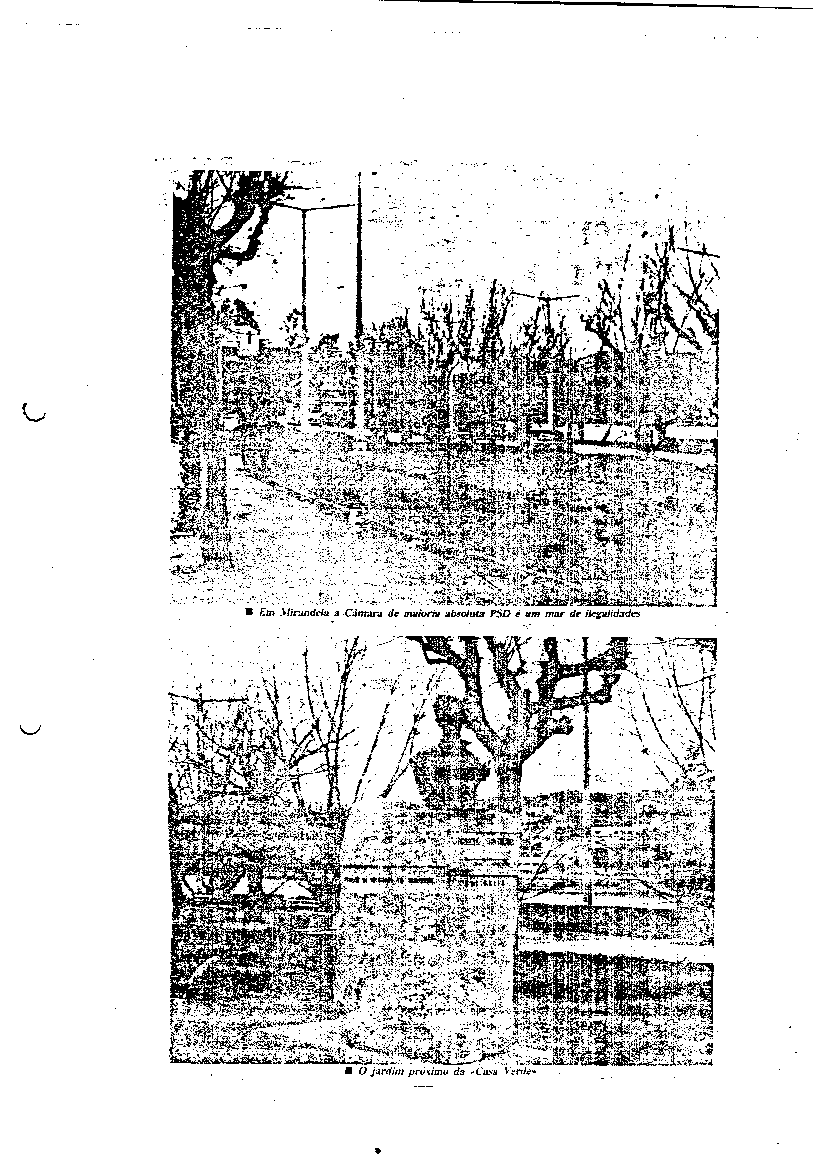 03835.002- pag.7