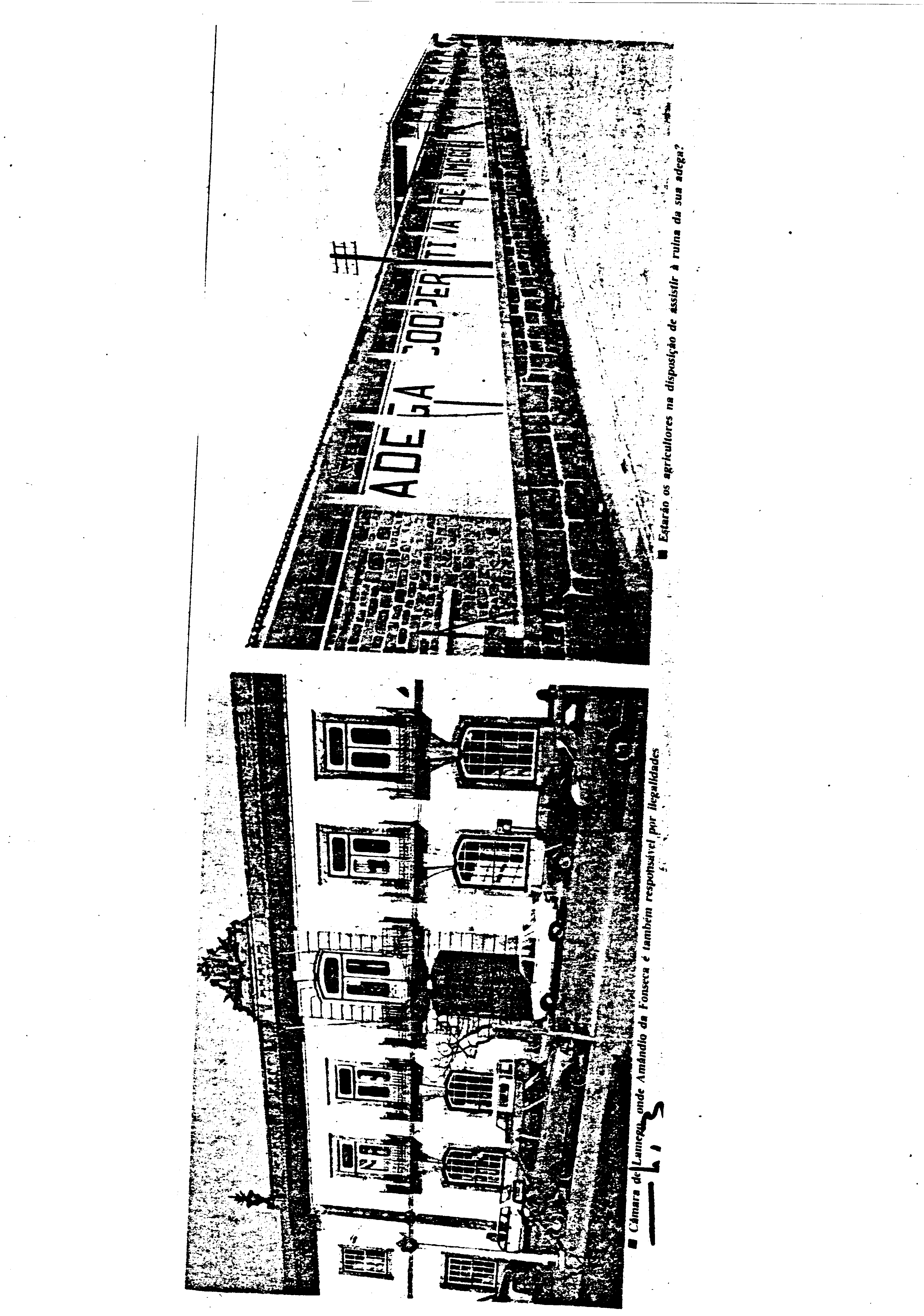 03837.001- pag.144
