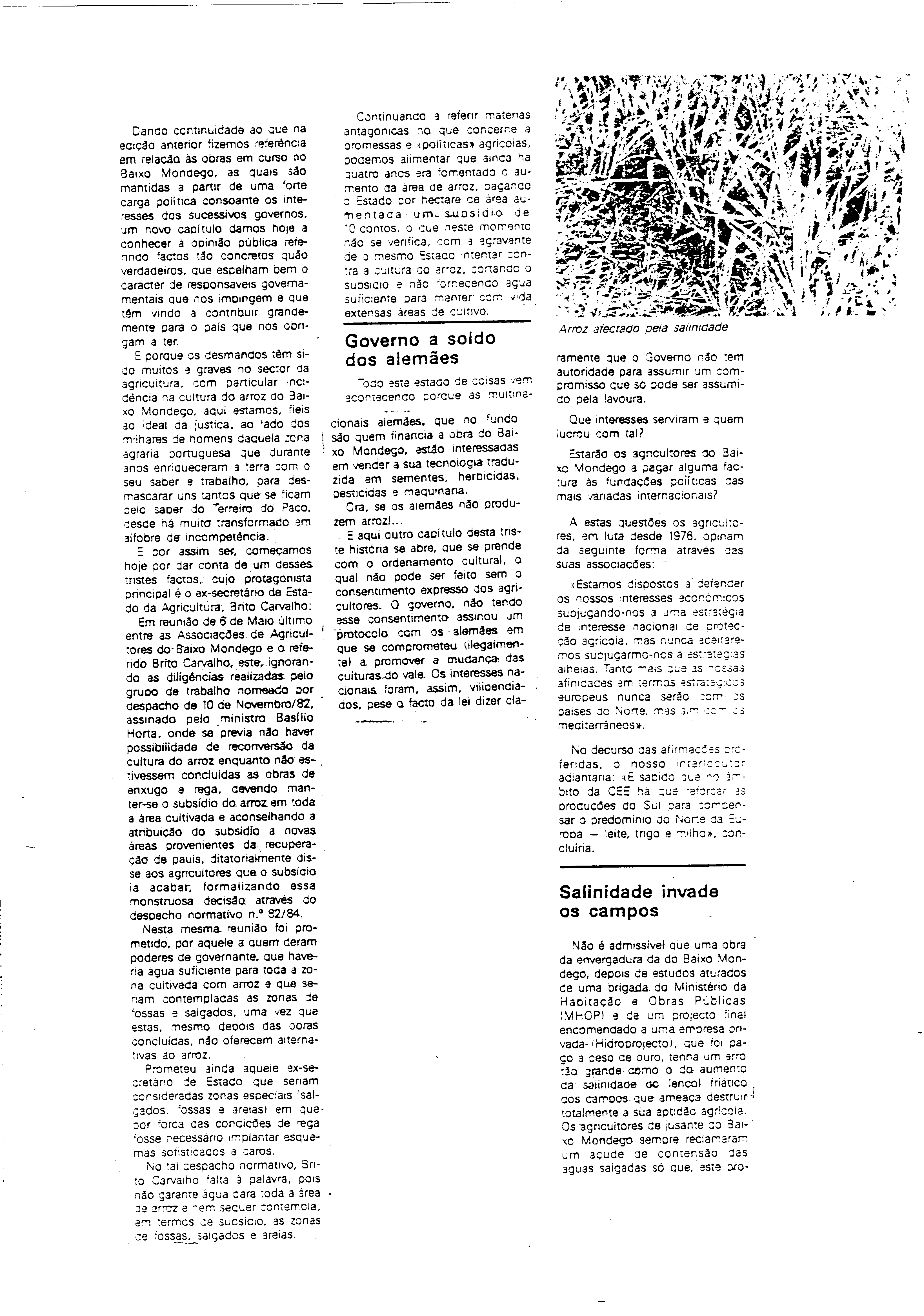 03838.001- pag.36