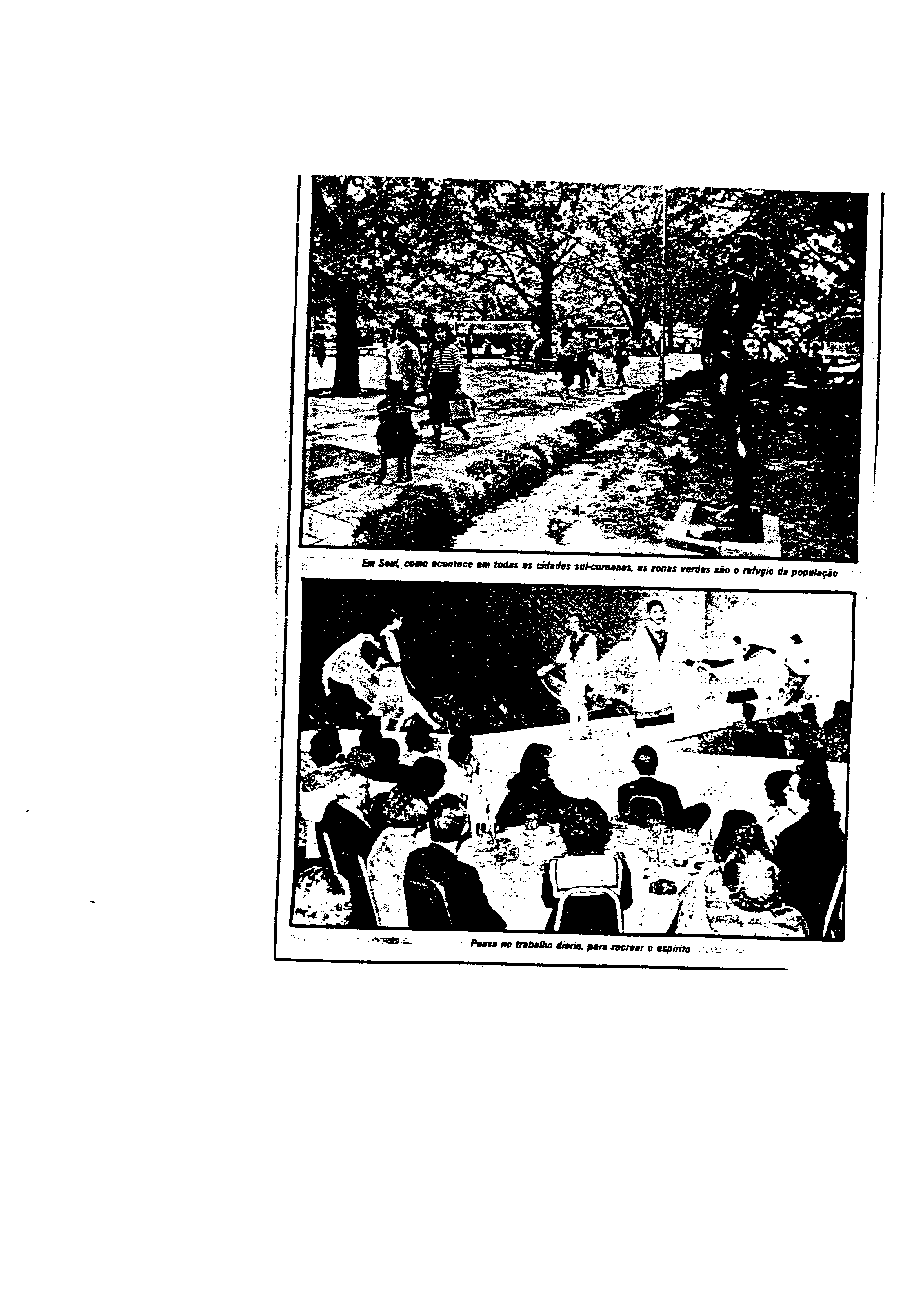 03847.001- pag.31