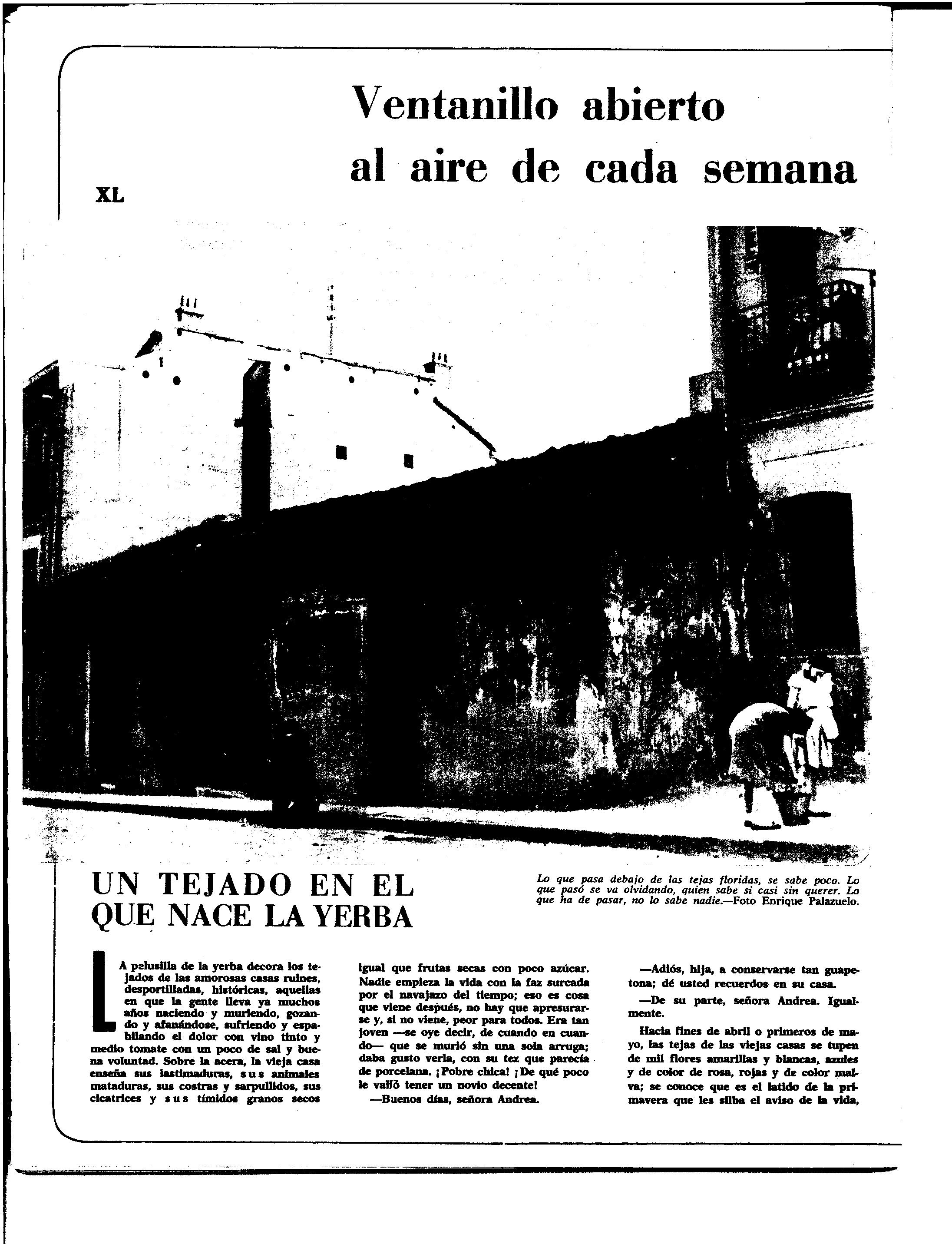 04282.010- pag.8