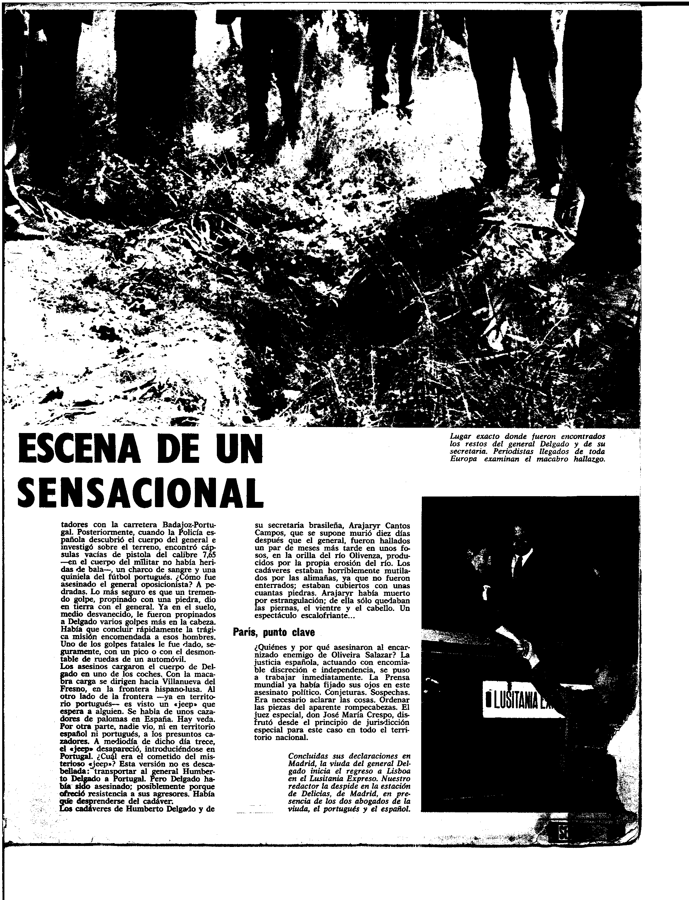 04282.010- pag.17