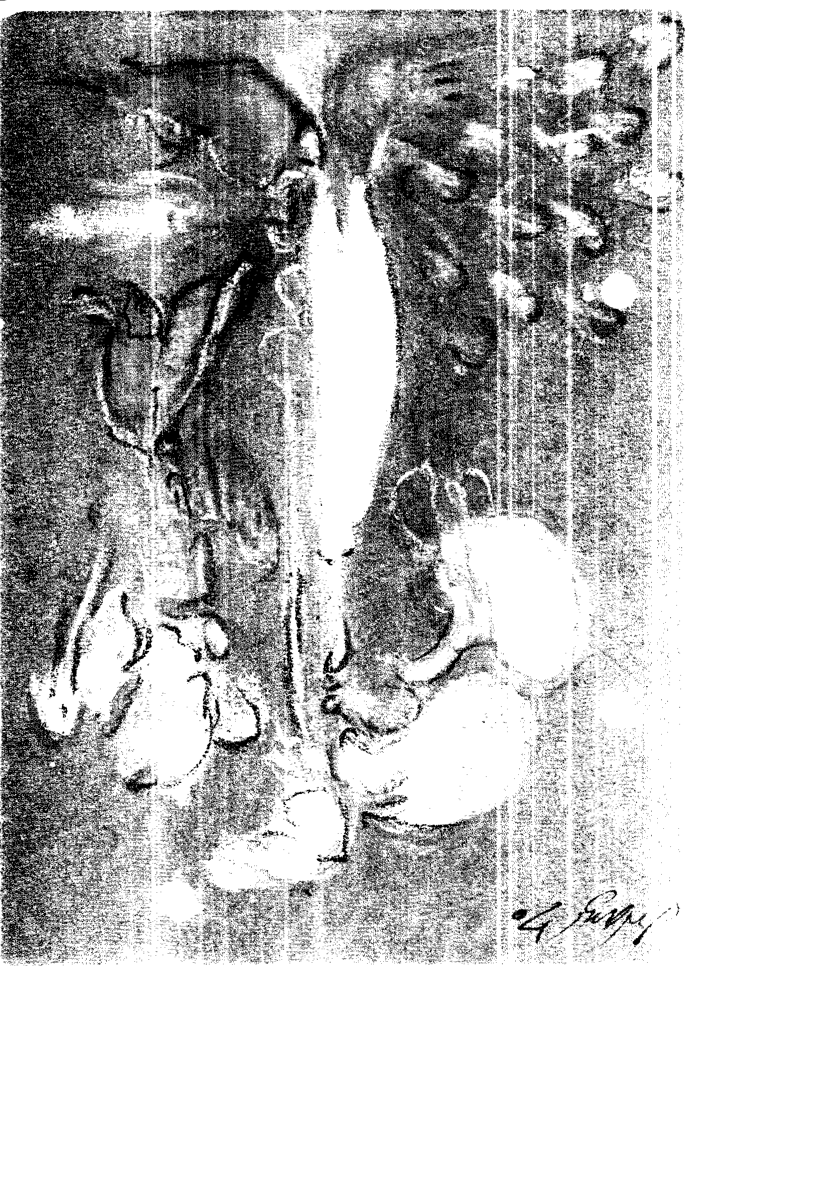 04284.016- pag.74