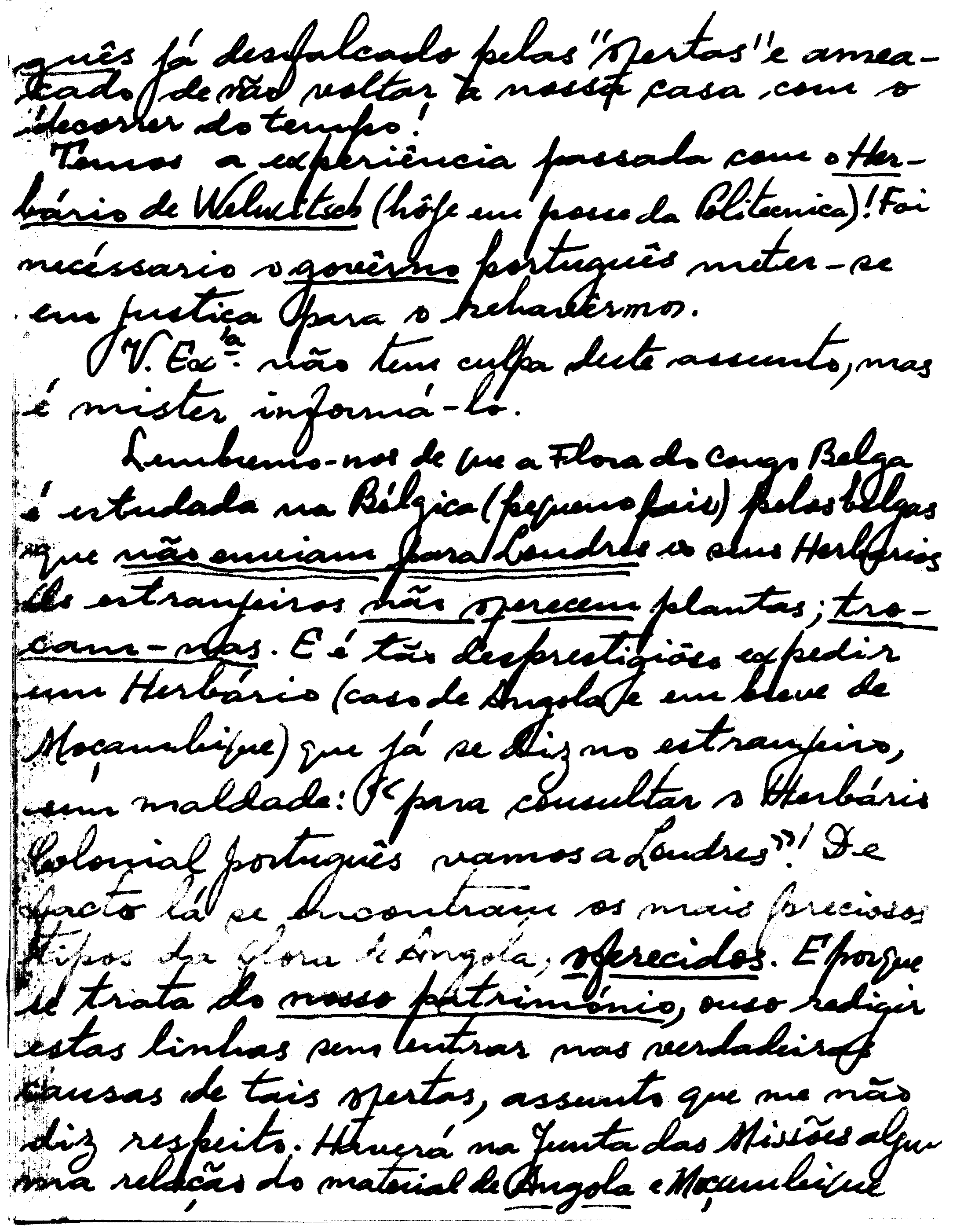 04292.002- pag.100