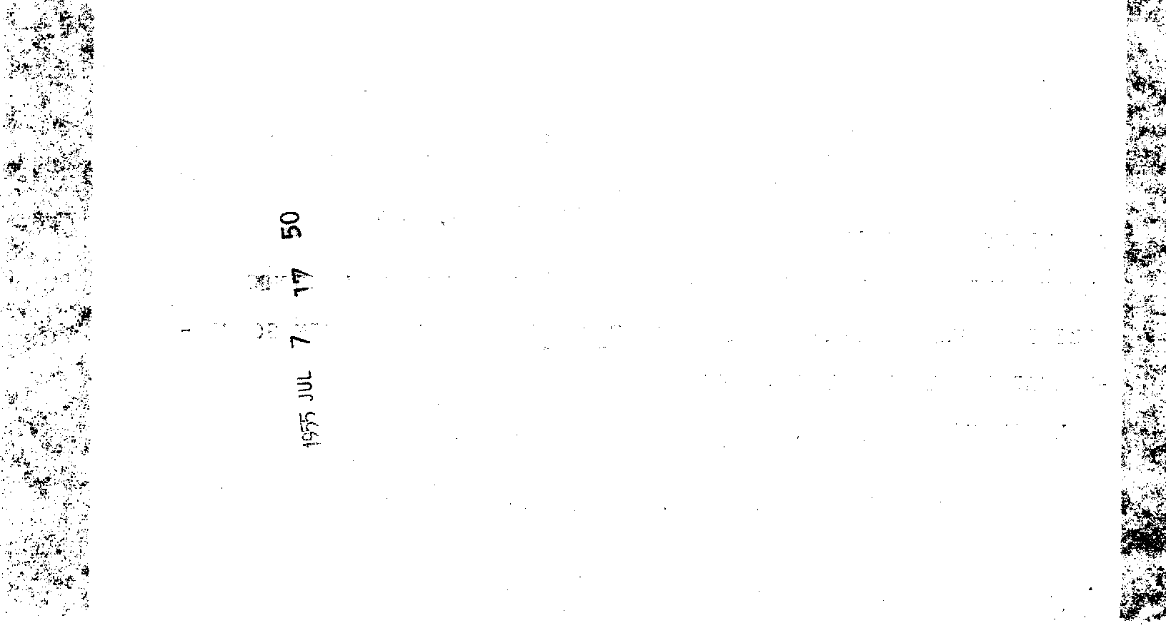 04293.005- pag.56