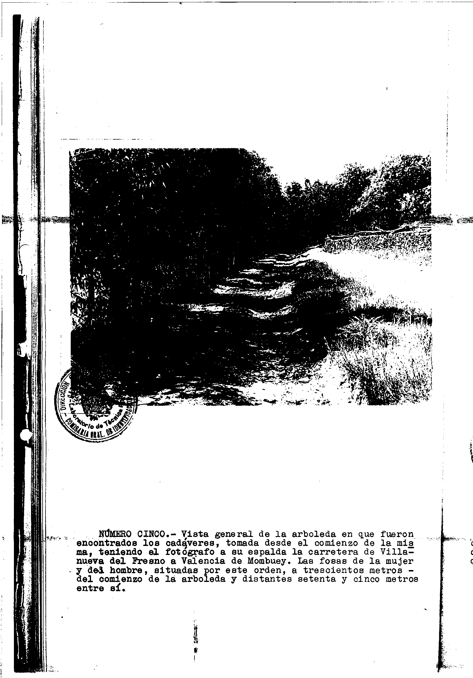 04300.000- pag.24