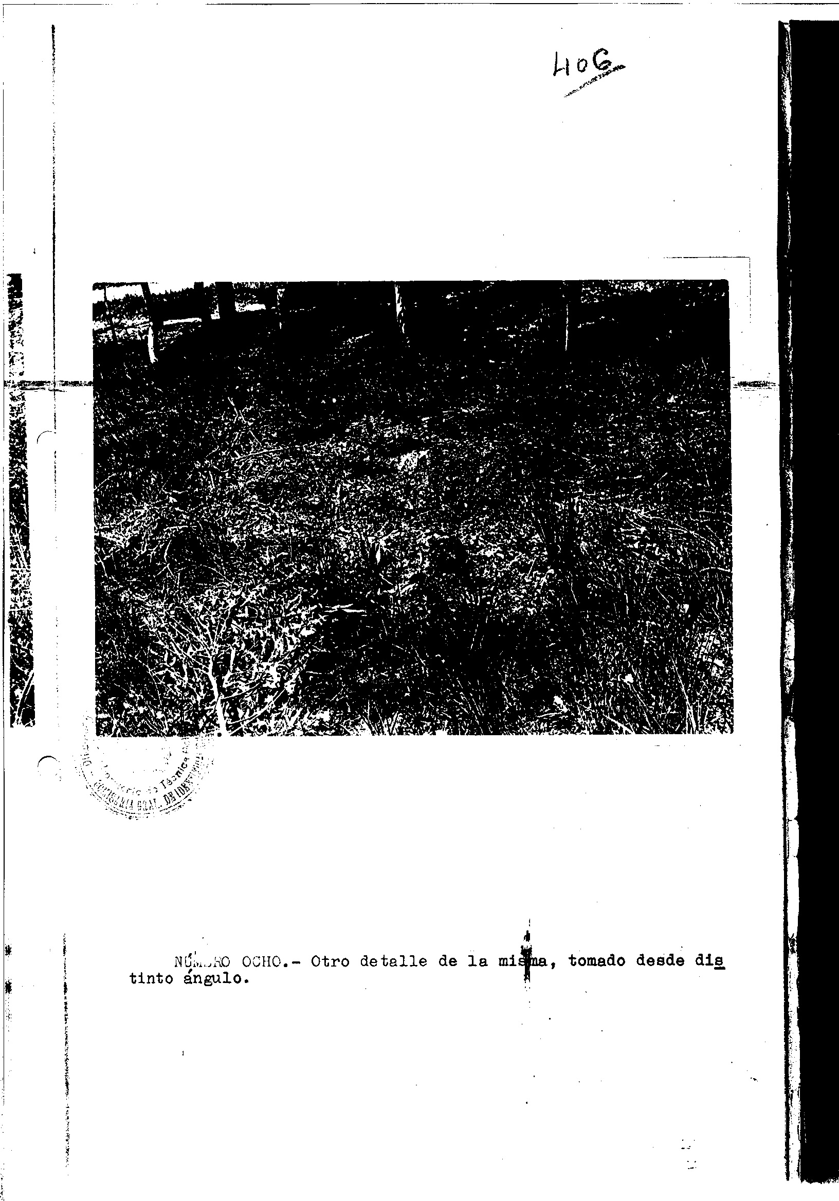04300.000- pag.27