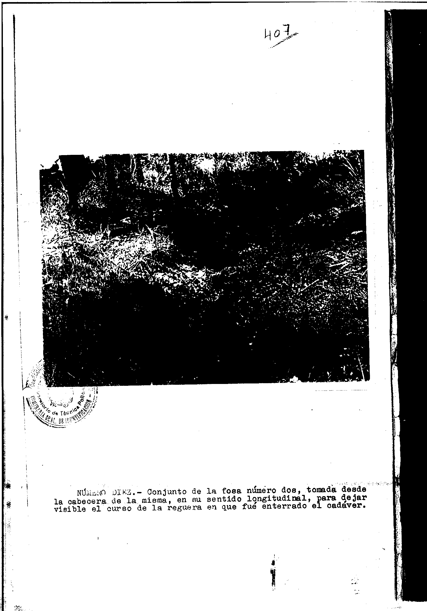 04300.000- pag.29