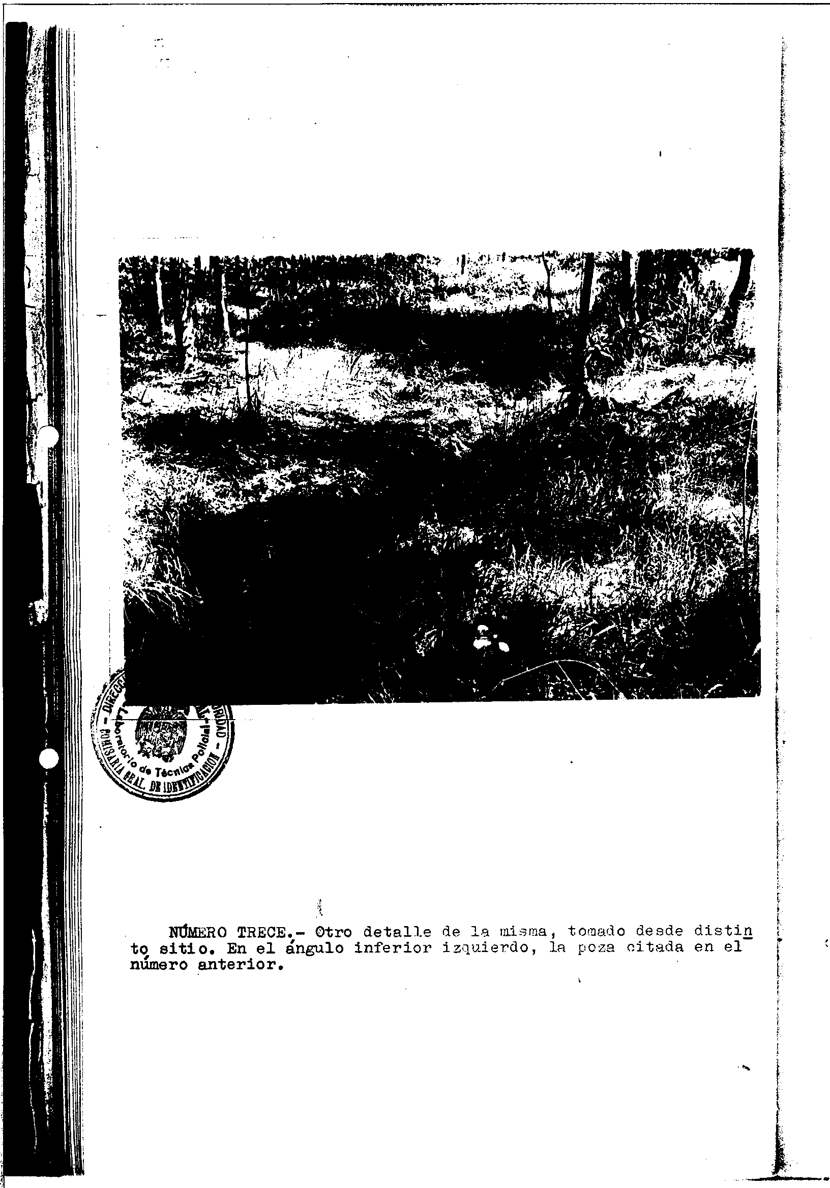 04300.000- pag.31