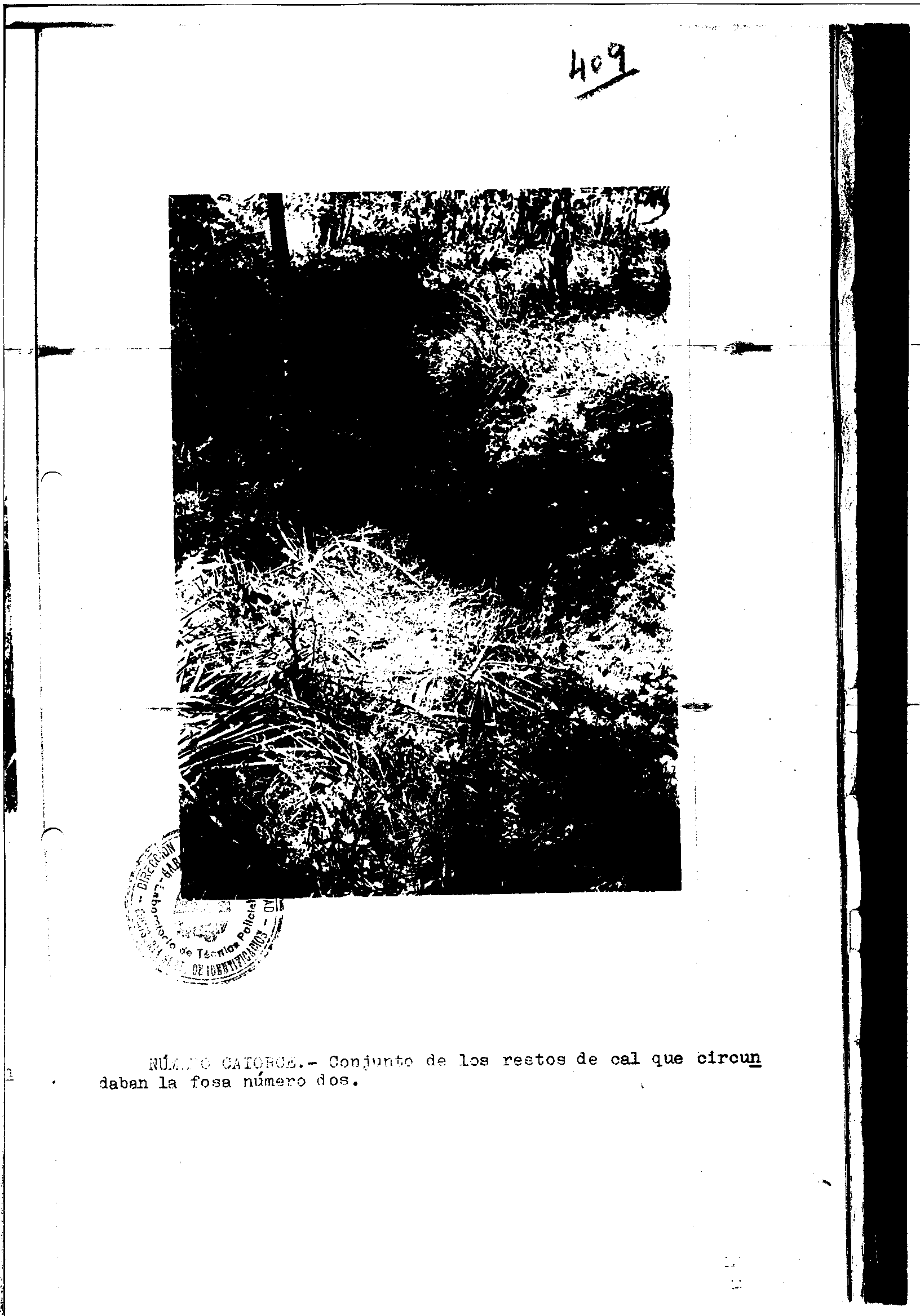 04300.000- pag.32