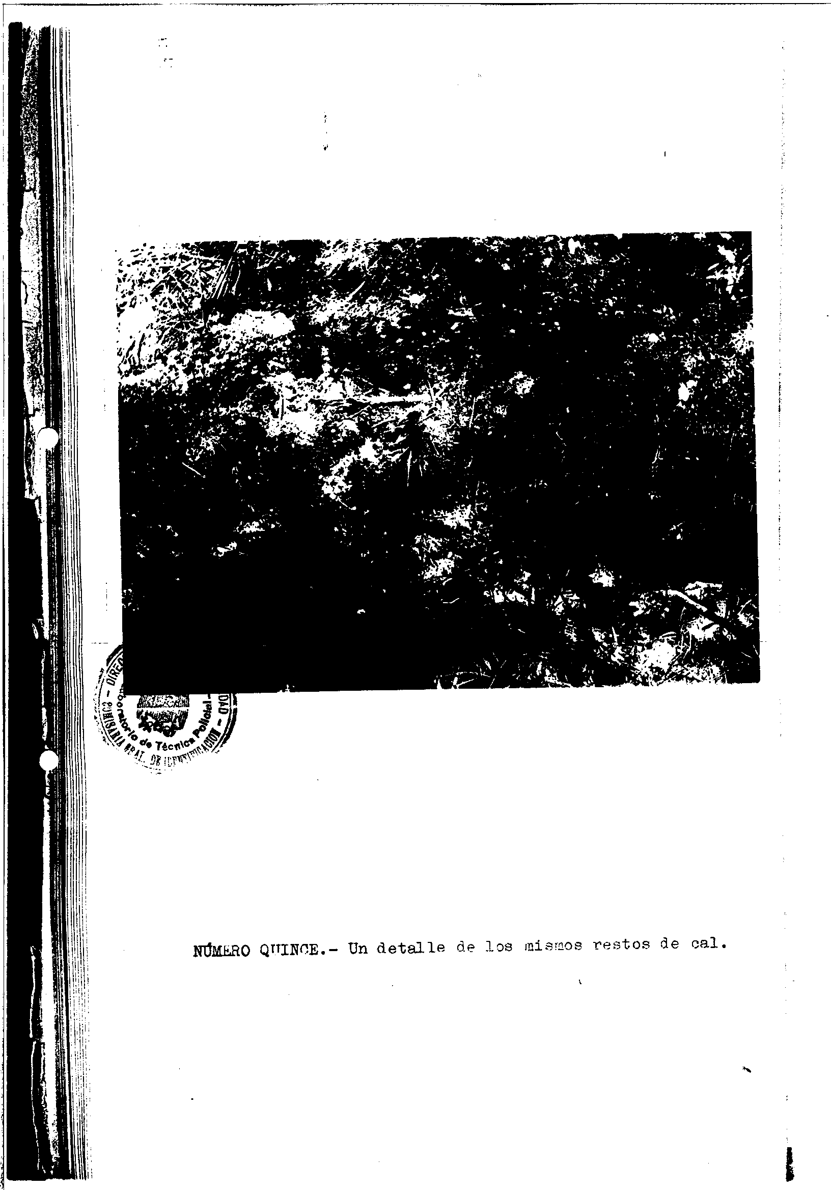 04300.000- pag.33
