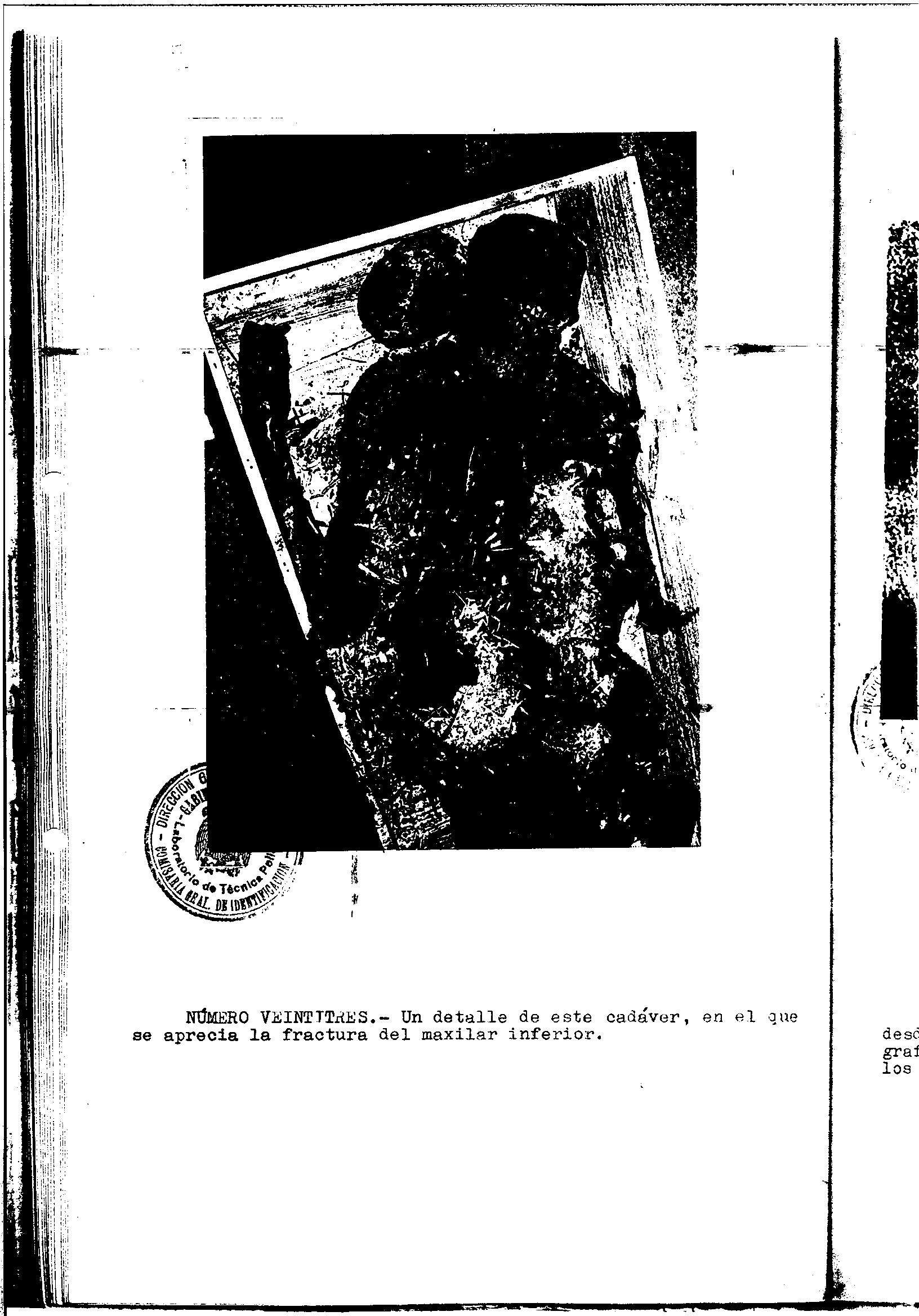 04300.000- pag.41