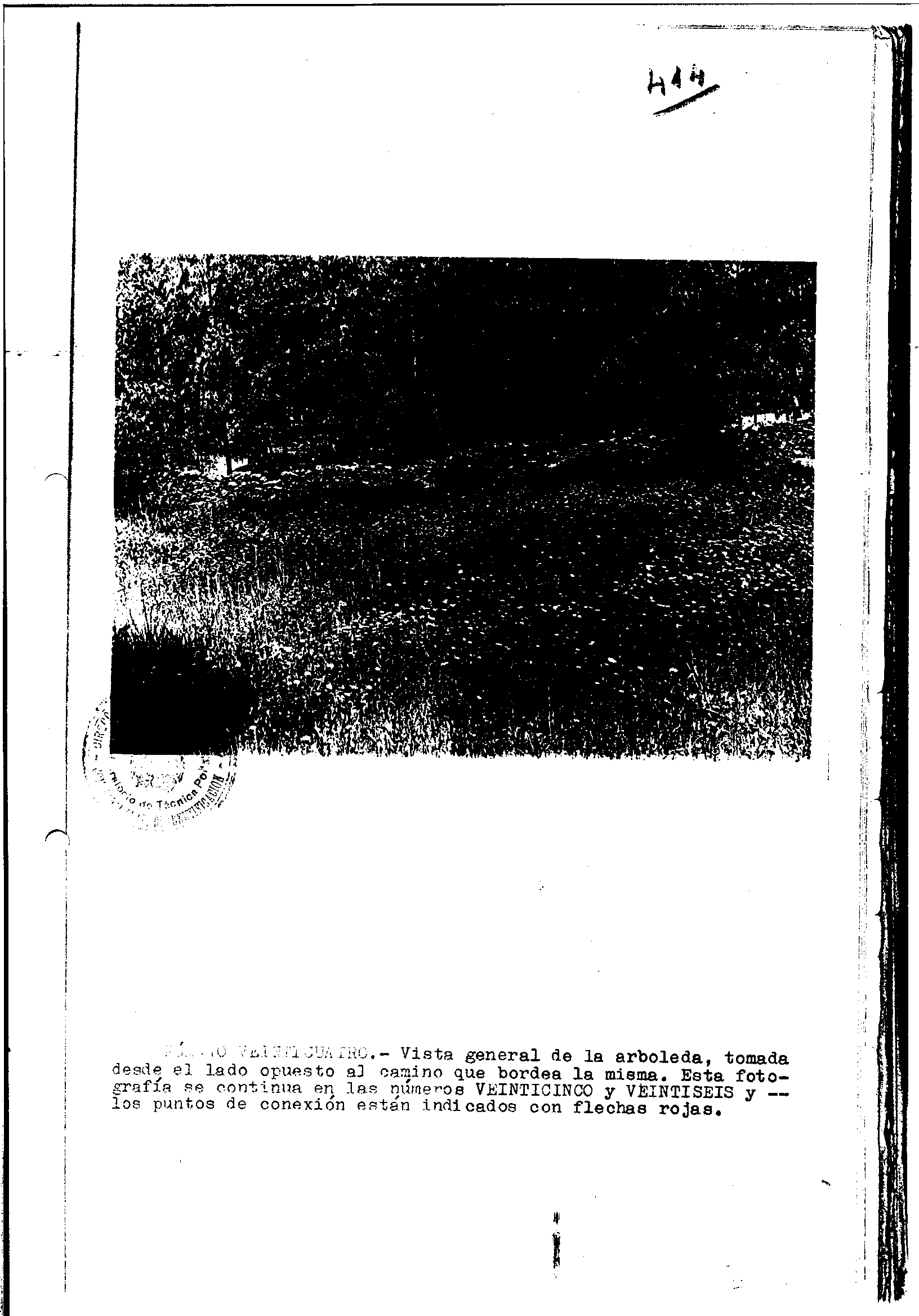 04300.000- pag.42