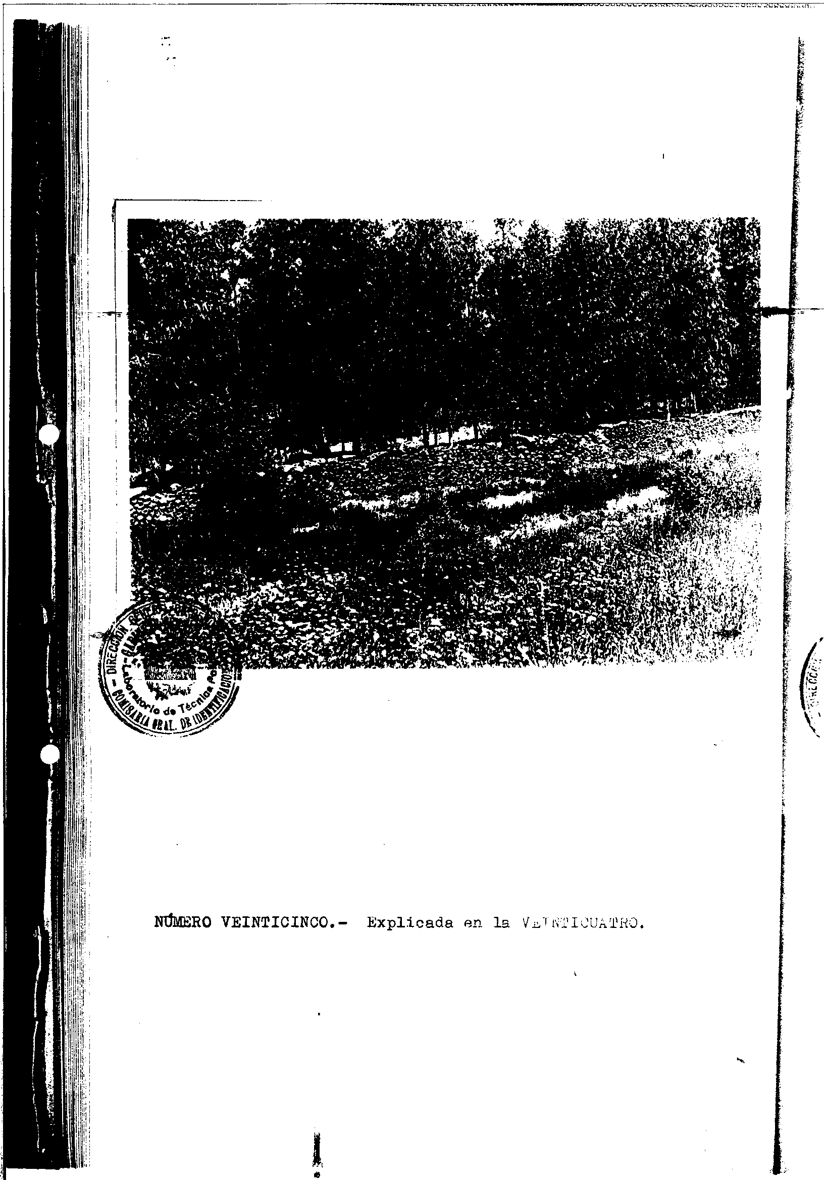 04300.000- pag.43