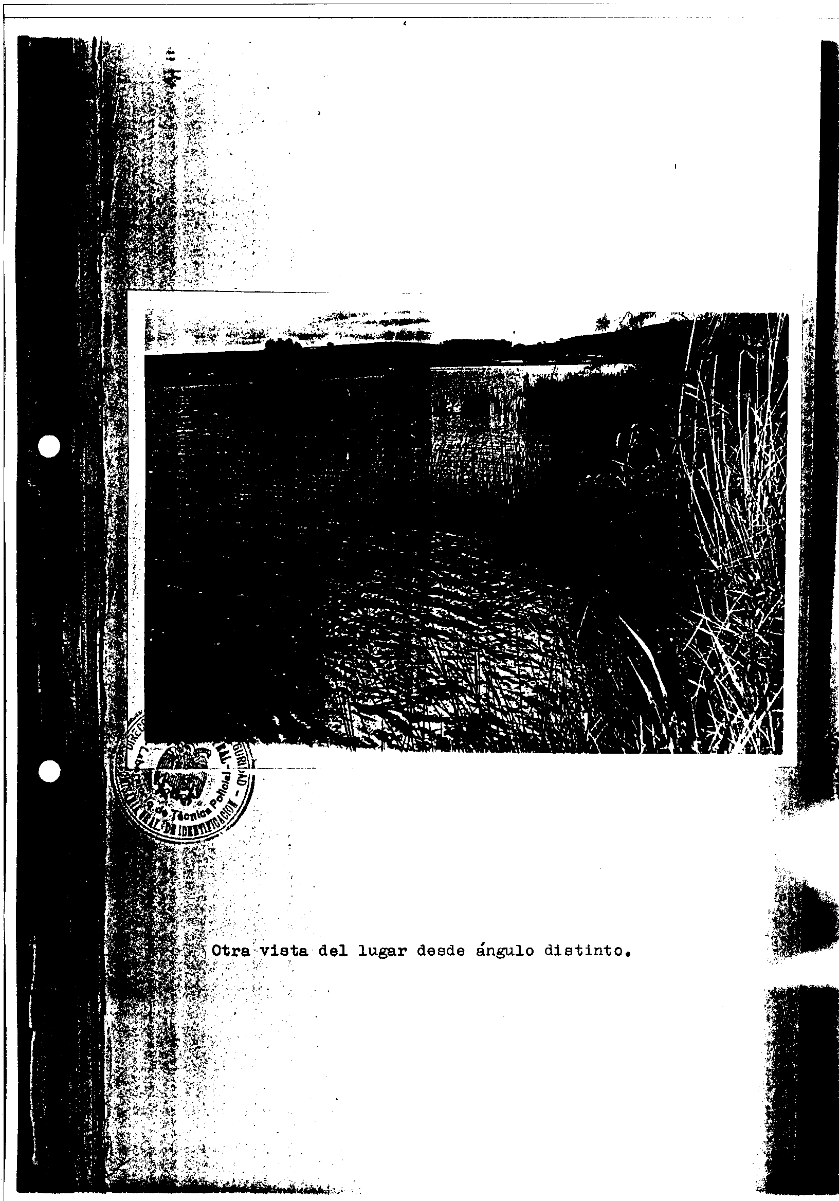 04300.000- pag.98