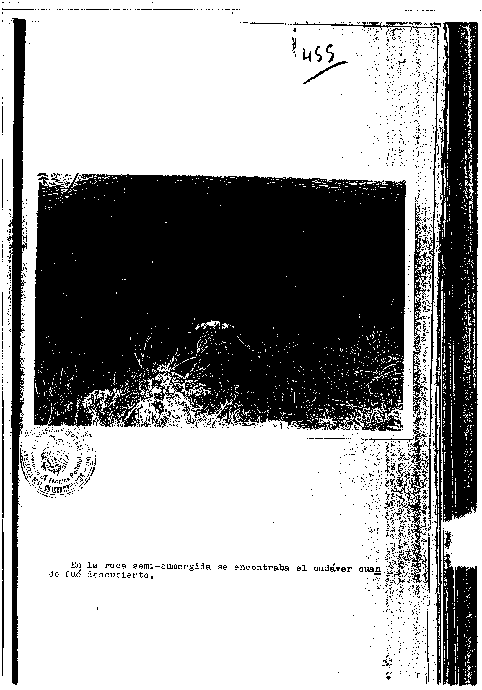04300.000- pag.99