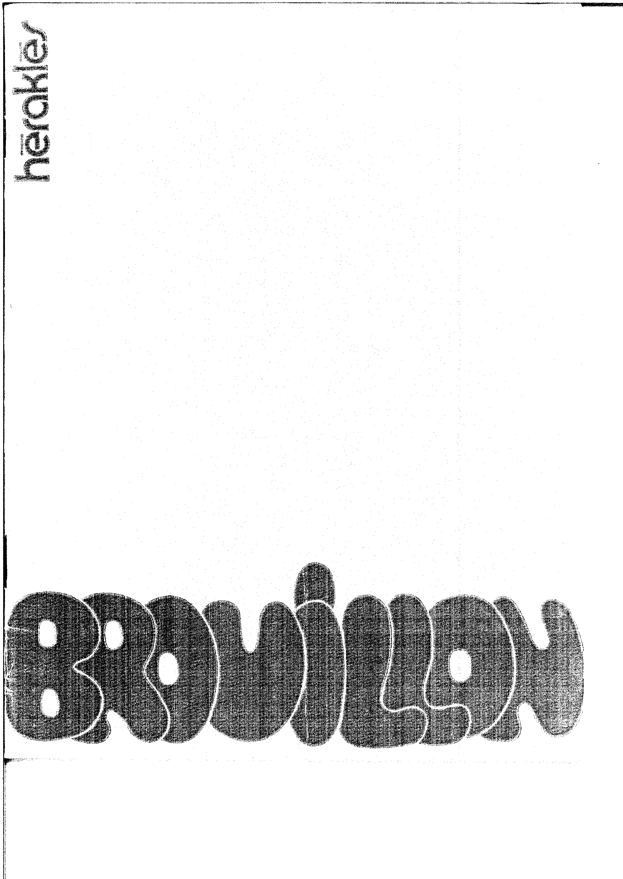 04306.006.006- pag.33