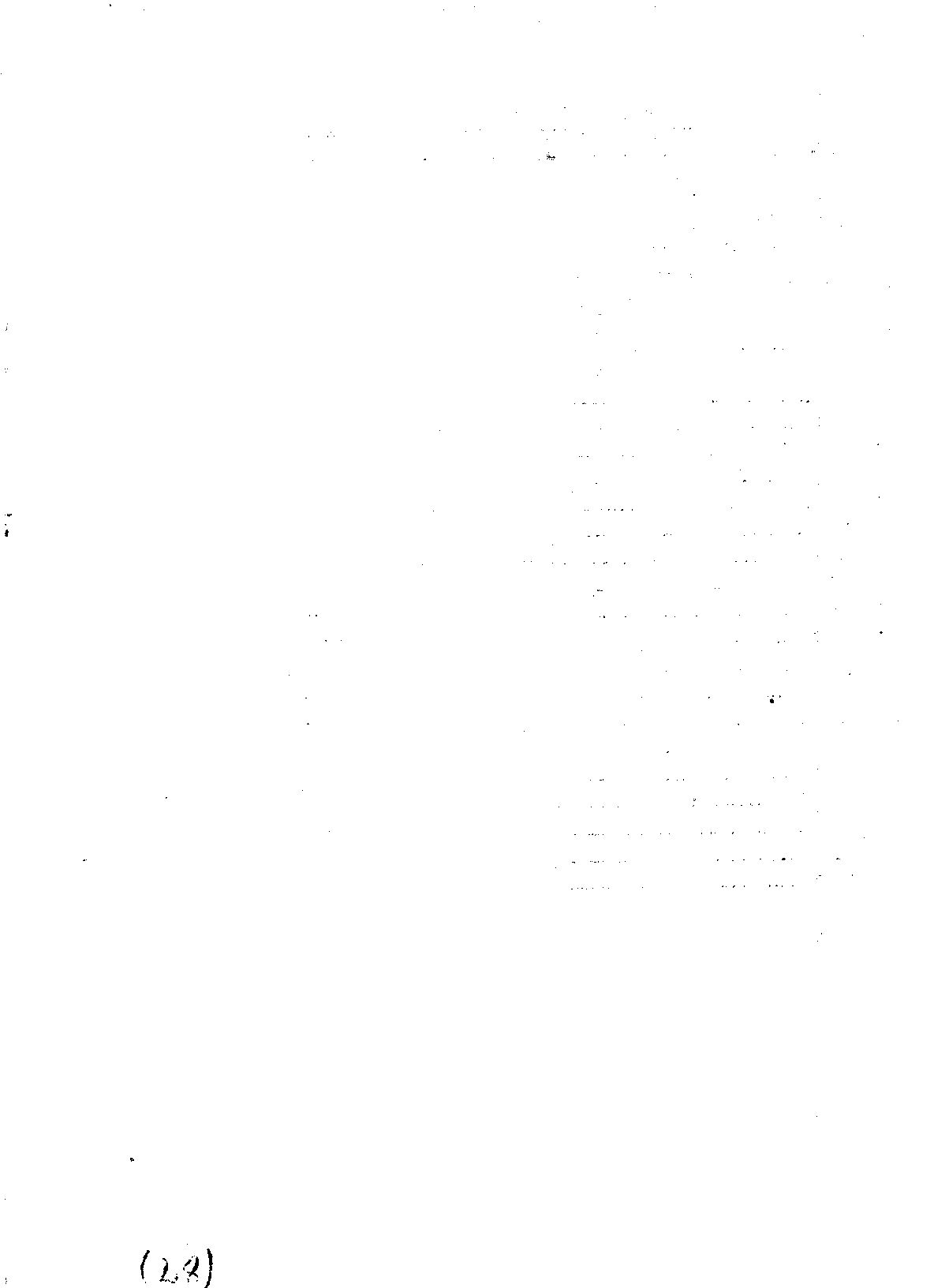 04314.005.008- pag.29