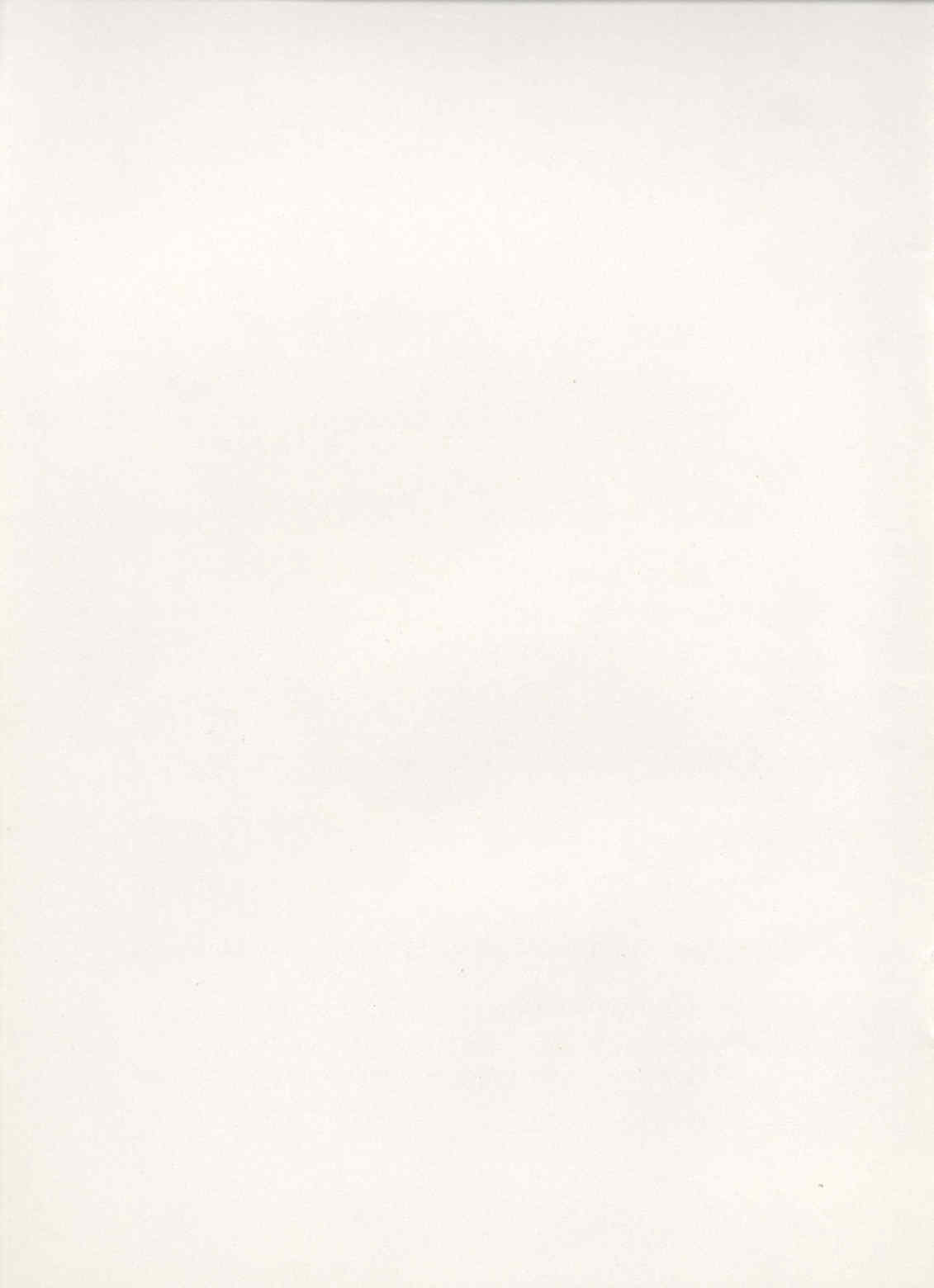 04315.006.005- pag.13