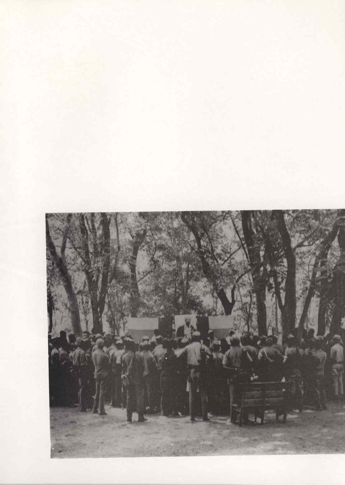 04315.006.005- pag.47