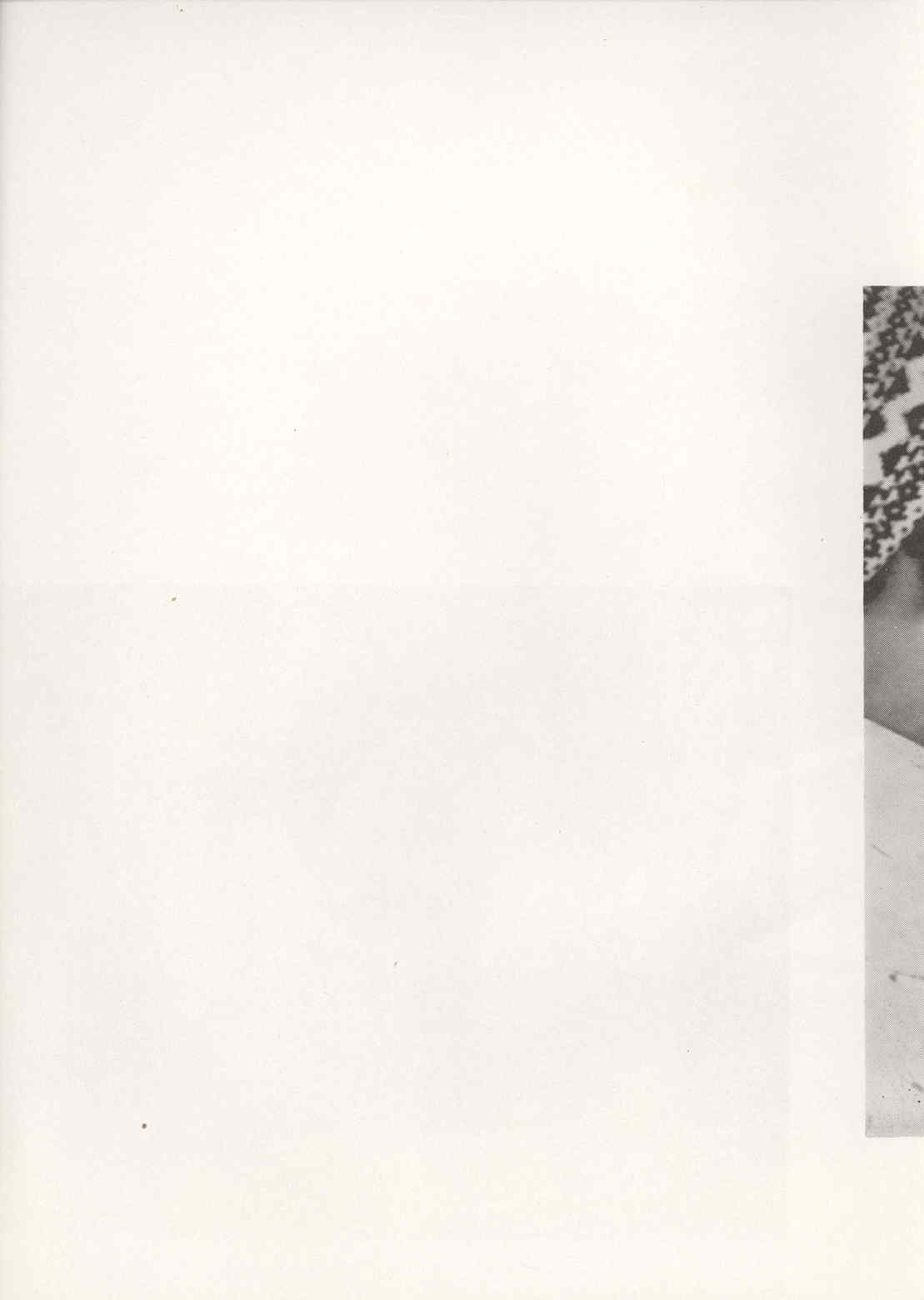 04315.006.005- pag.48