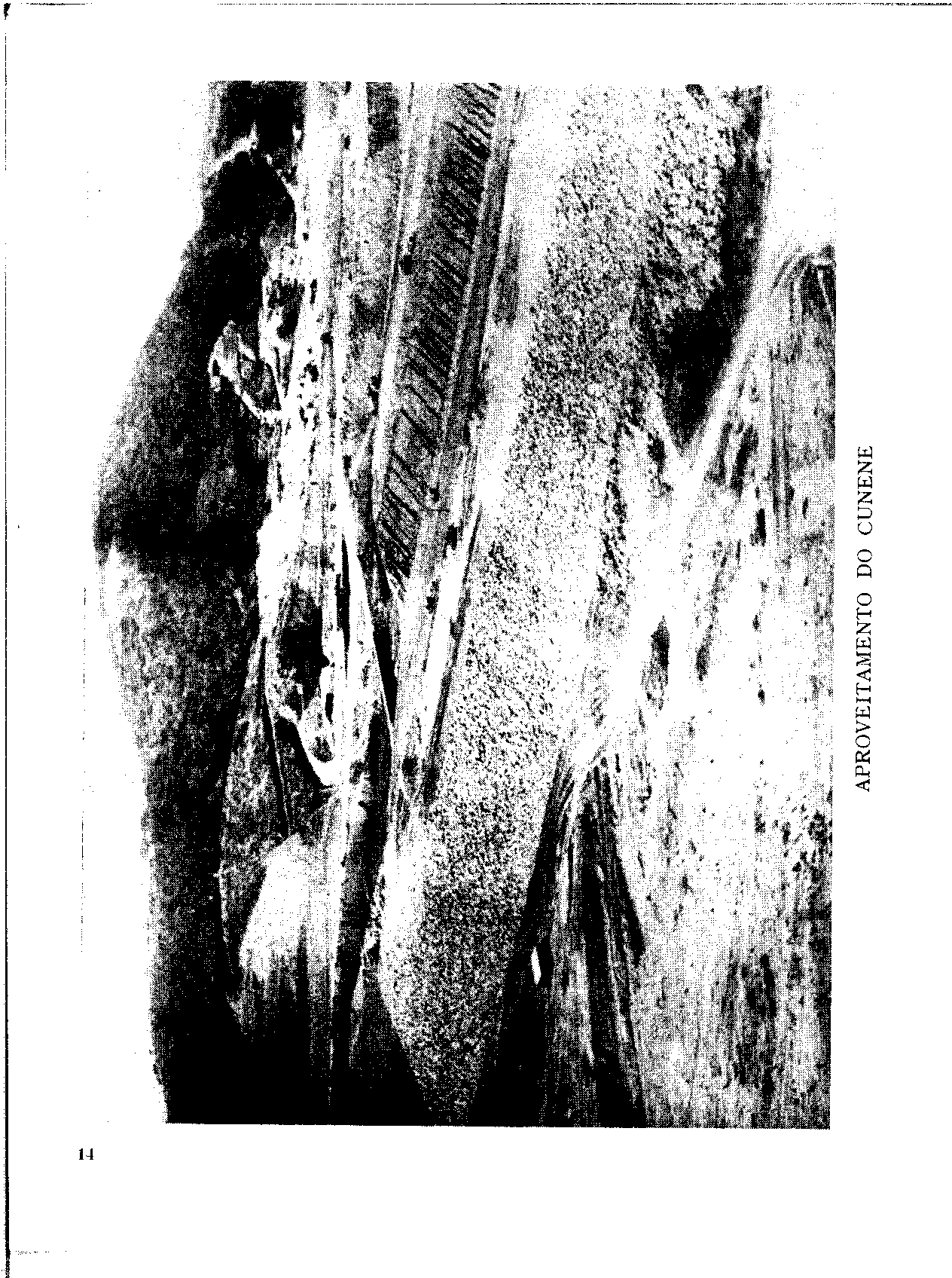 04319.006.009- pag.33