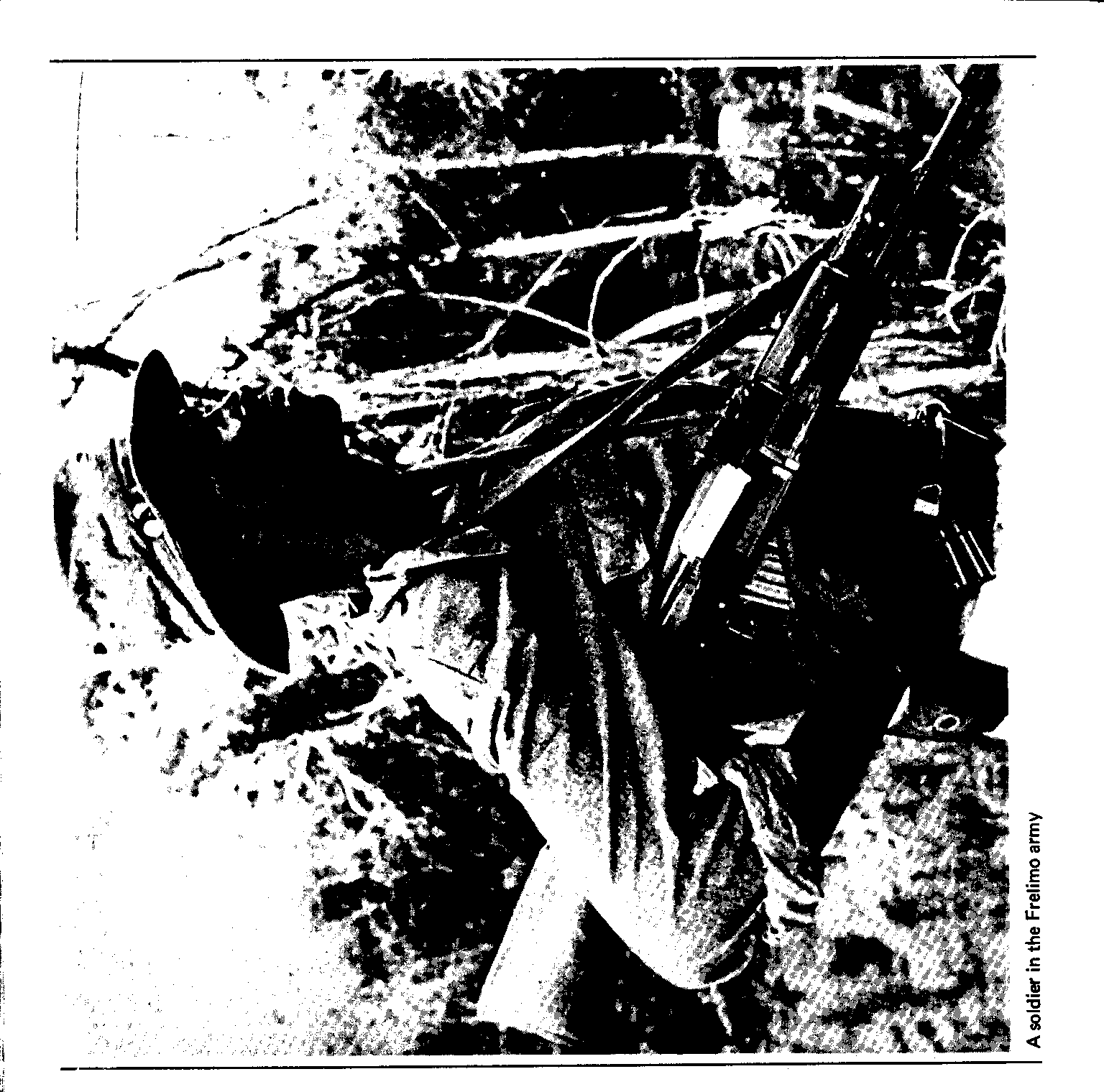 04322.006.008- pag.16