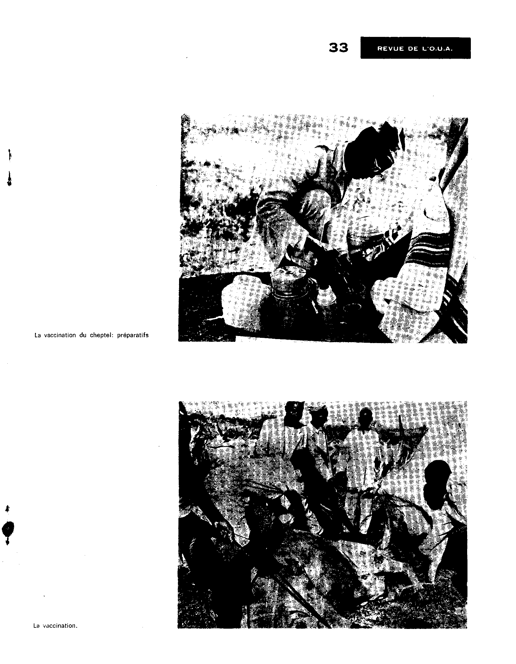 04323.003.002- pag.35