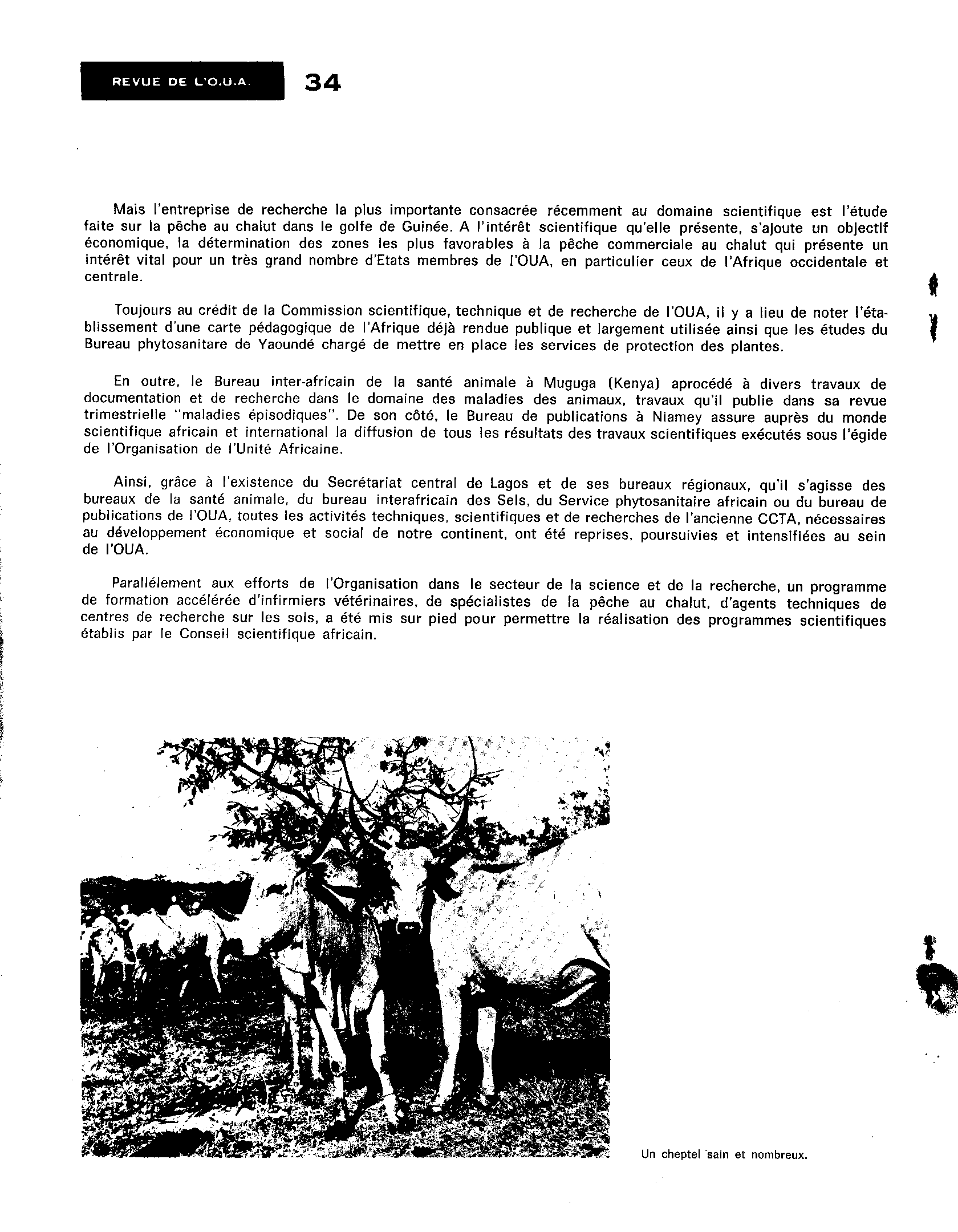 04323.003.002- pag.36