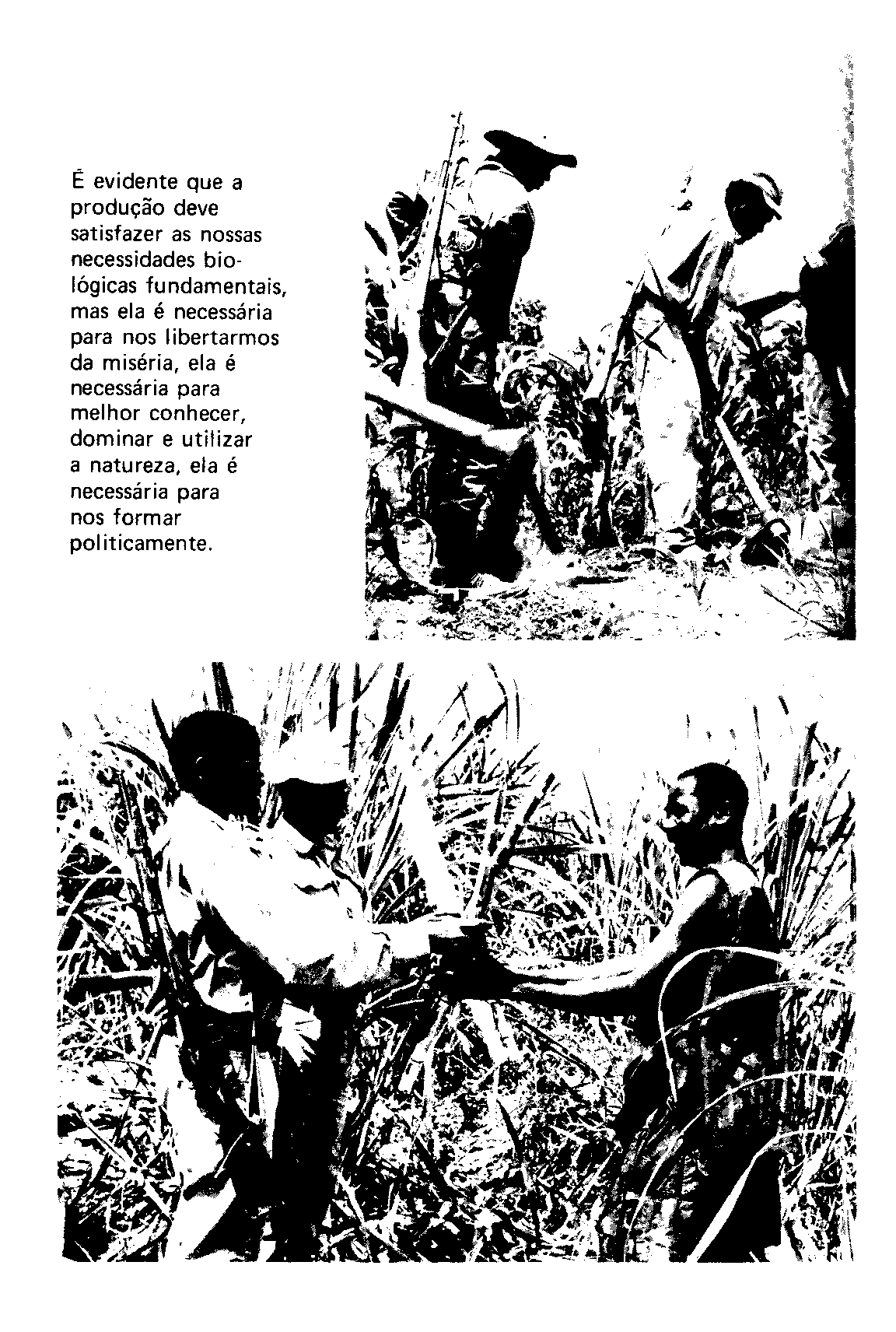 04323.008.003- pag.7