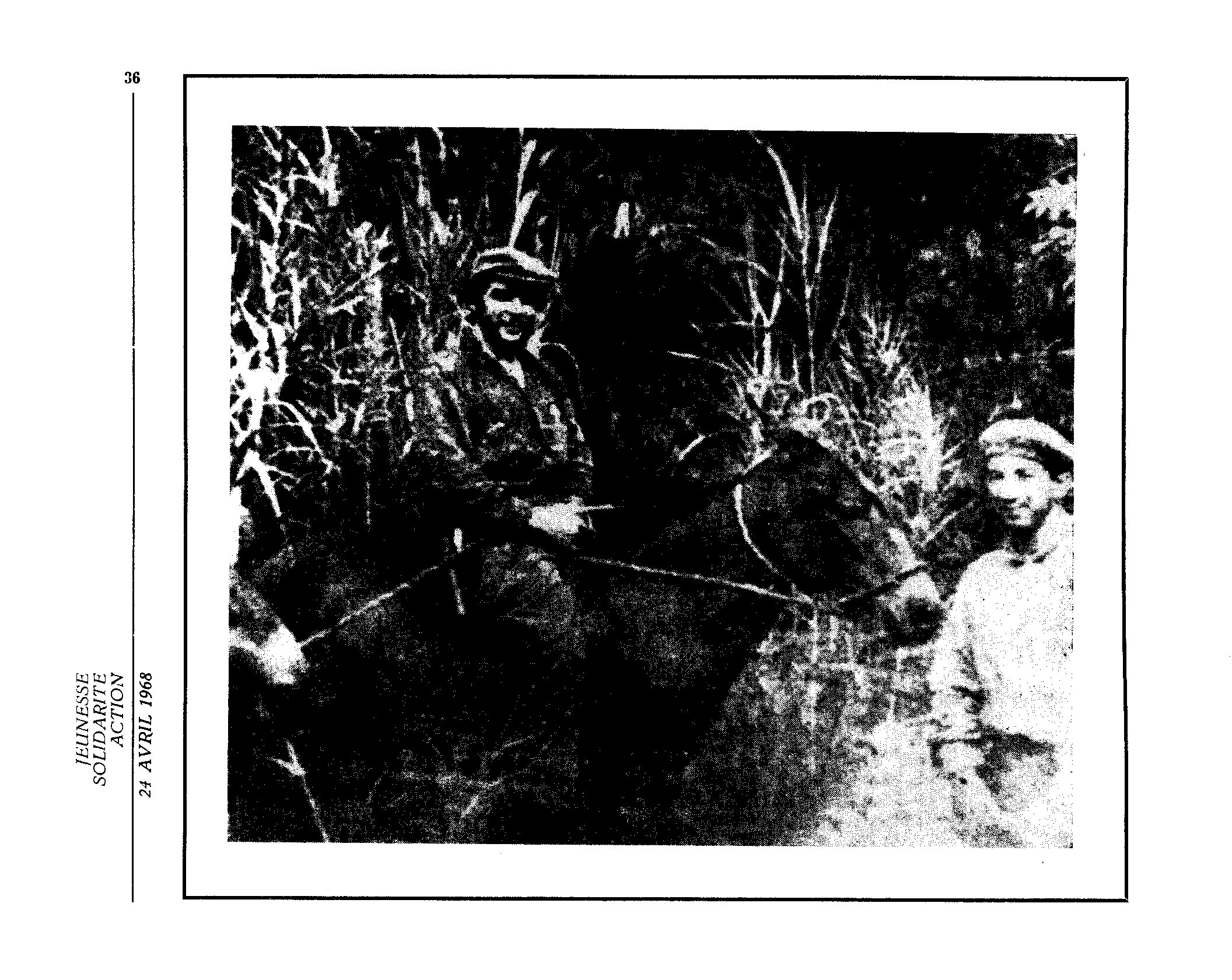 04325.007.001- pag.37