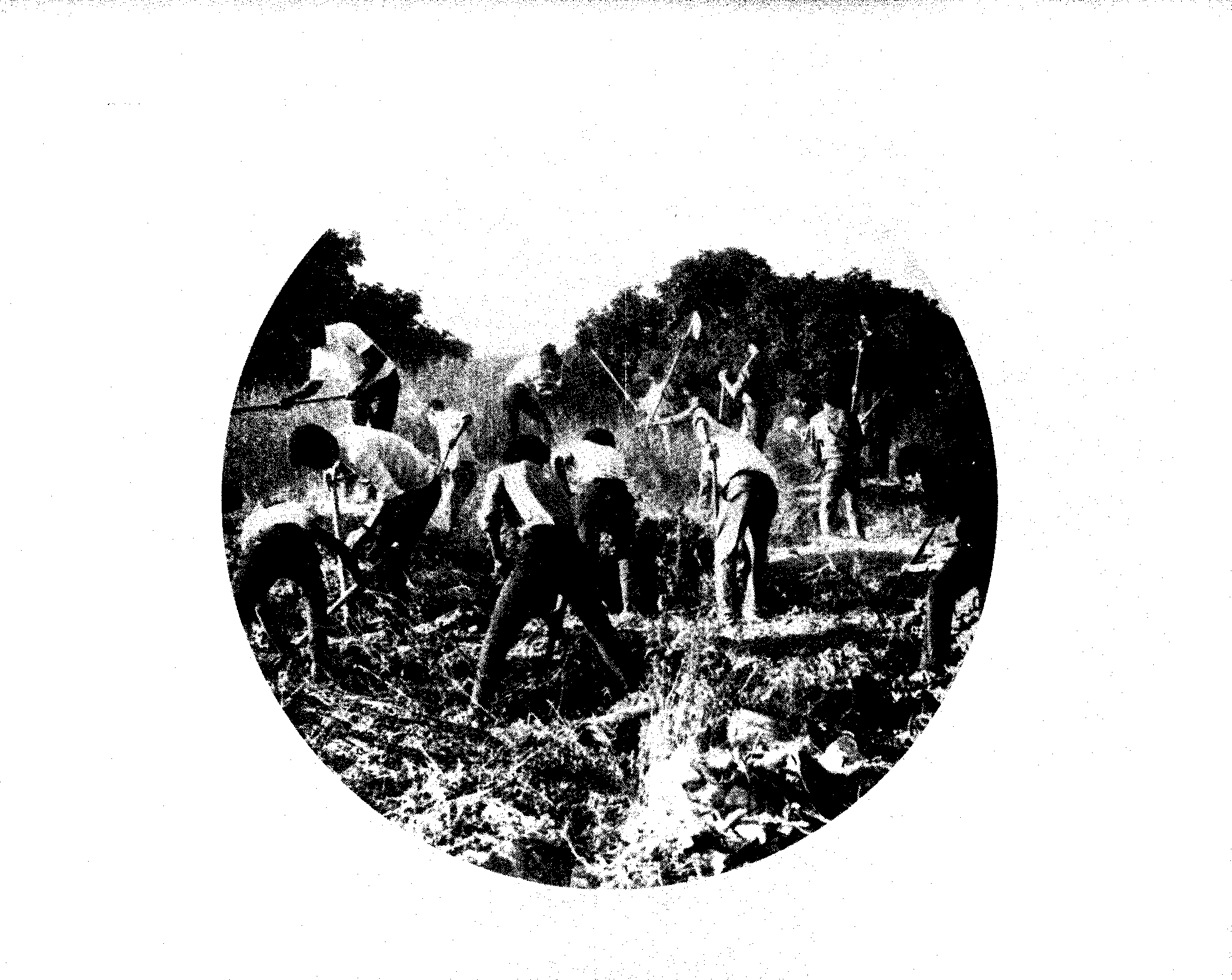 04325.007.001- pag.66