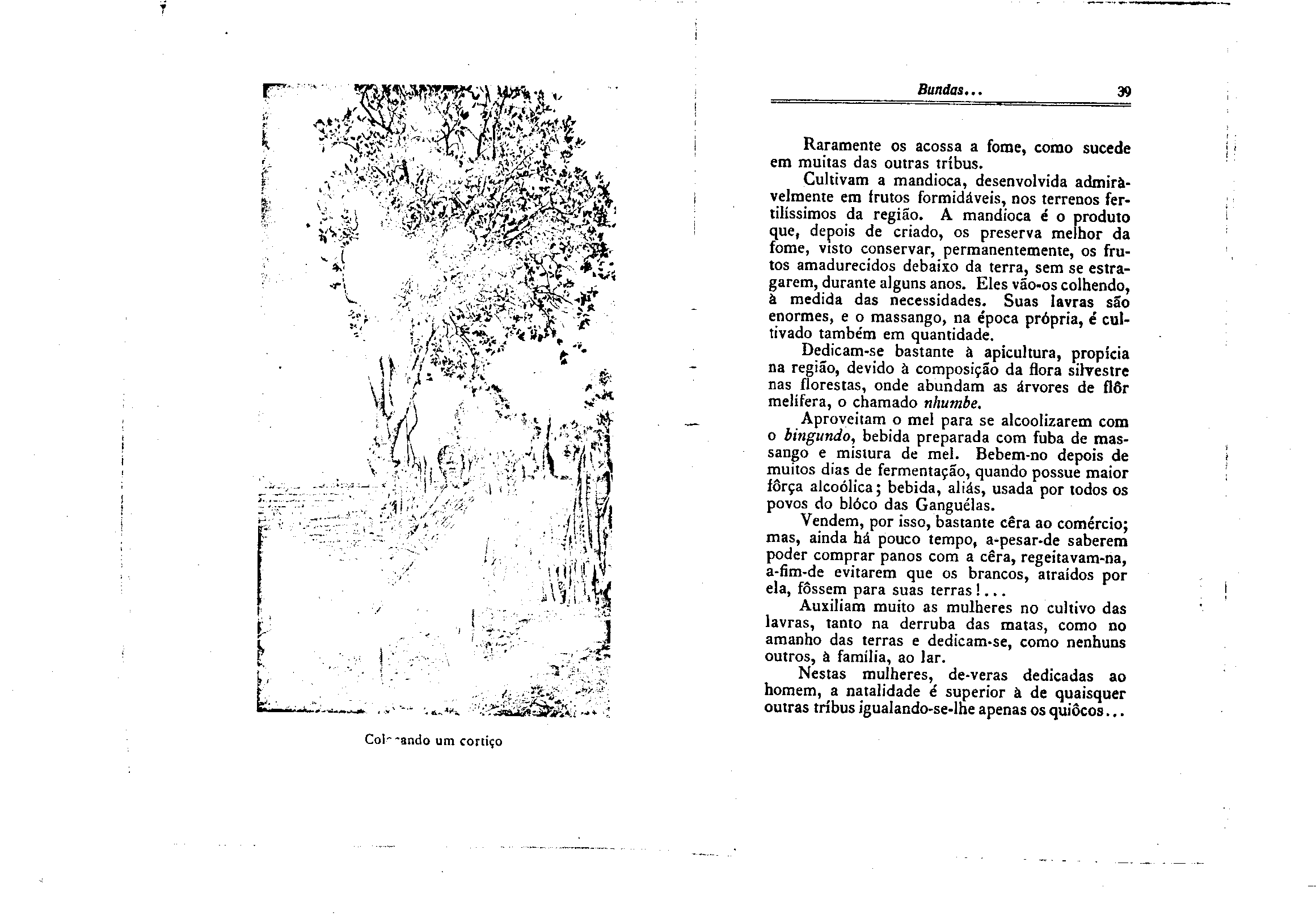 04330.011.001- pag.25
