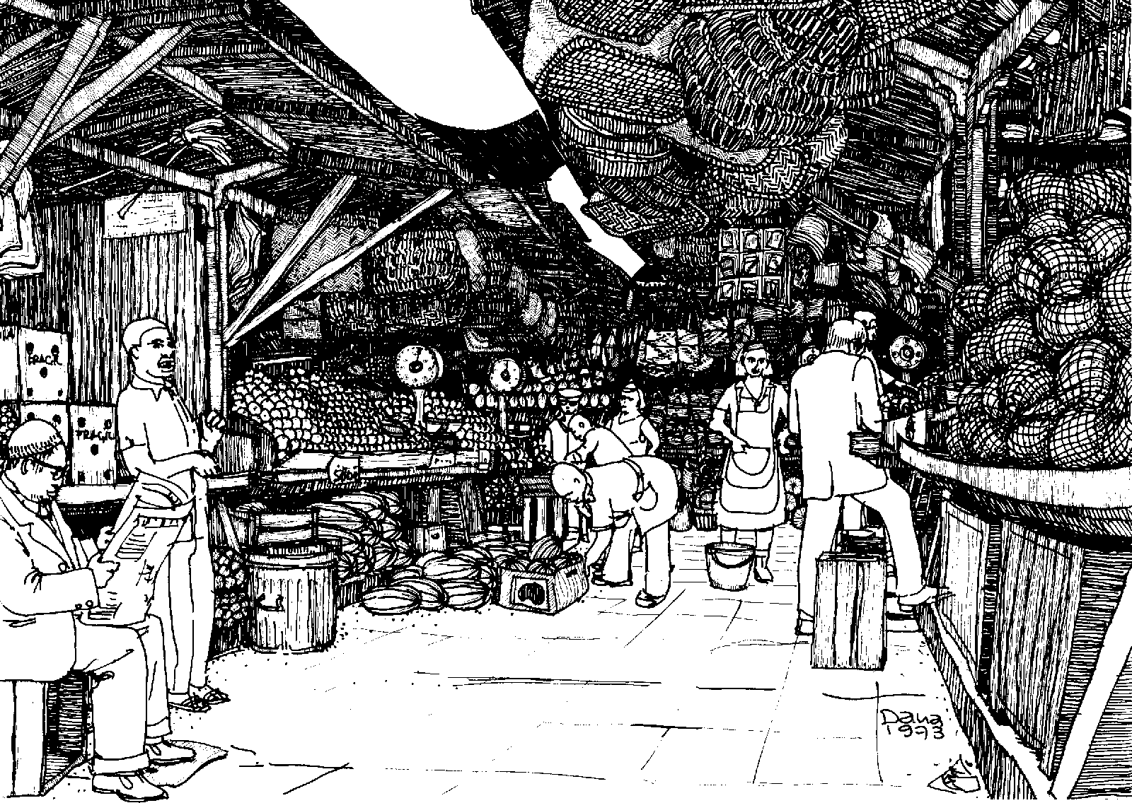 04331.008.002- pag.7