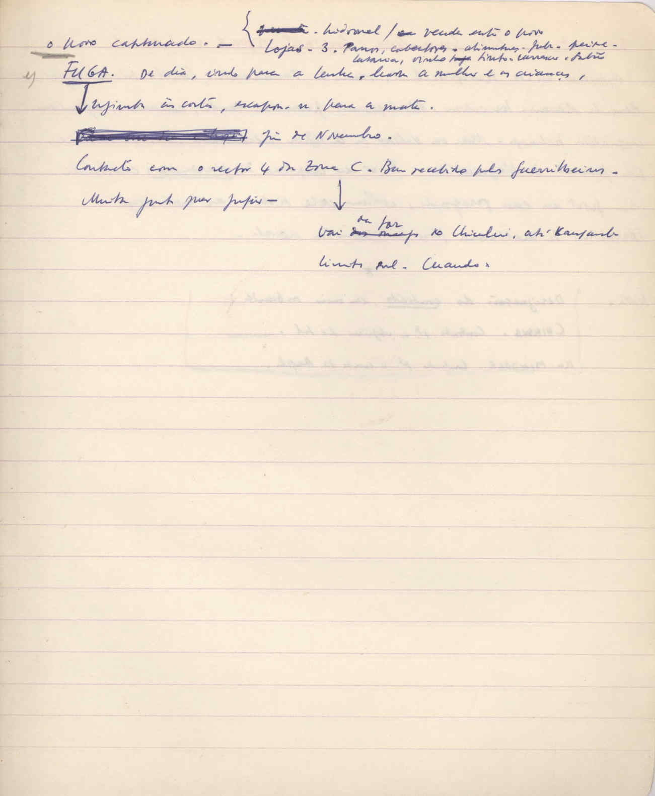 04333.010.001- pag.118