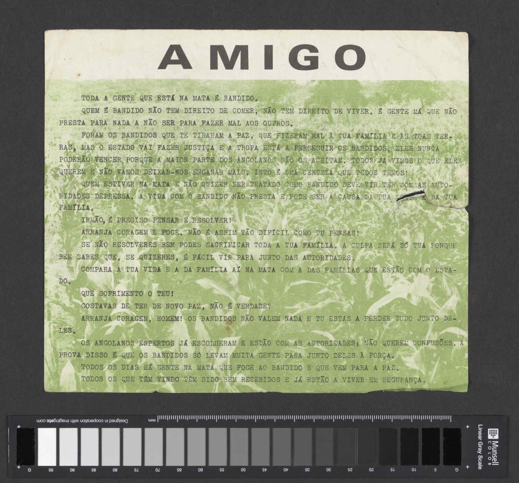 04333.011.001- pag.14