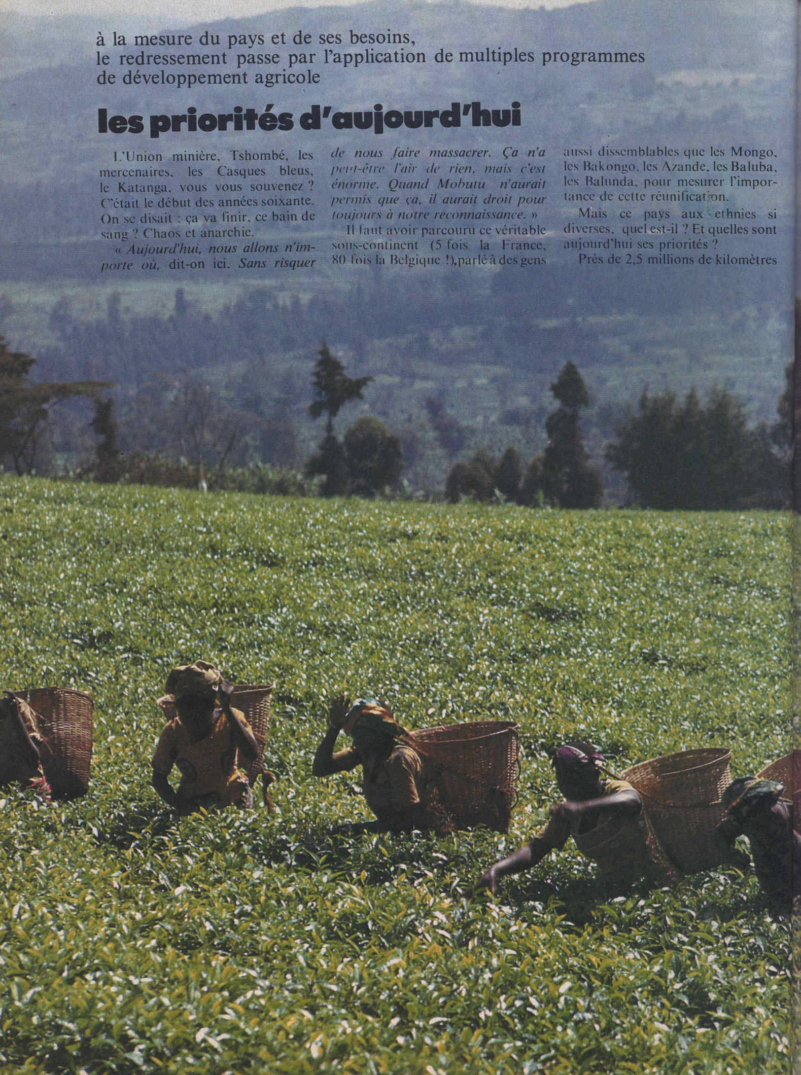 04351.015.001- pag.112