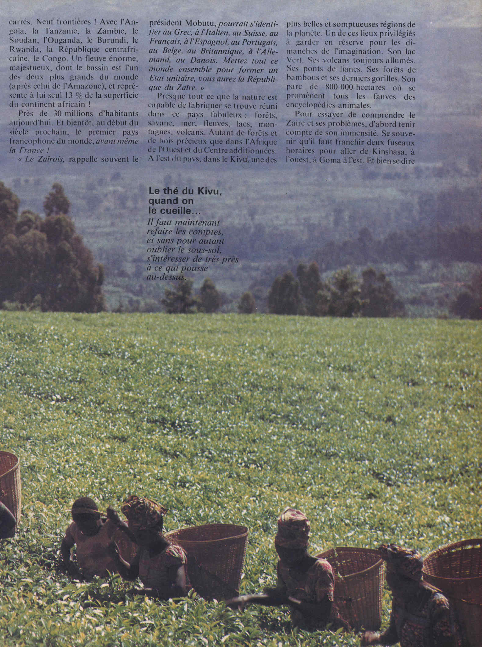 04351.015.001- pag.113