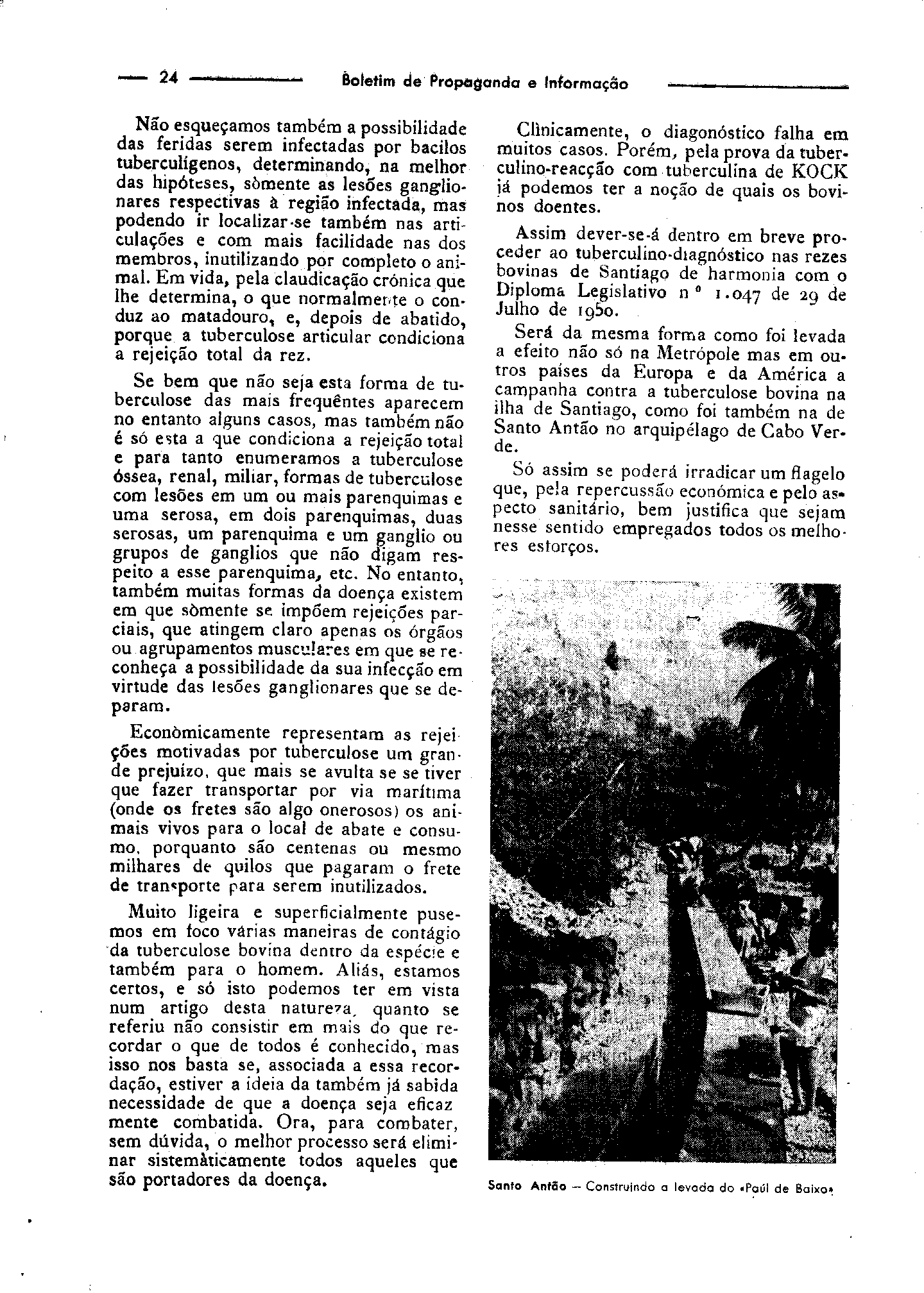 04354.008.001- pag.26