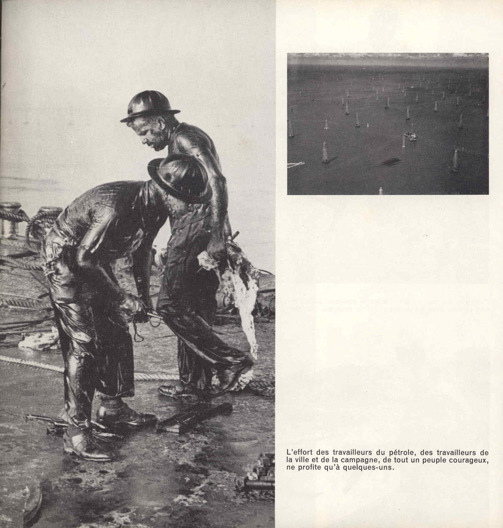 04358.008.003- pag.102