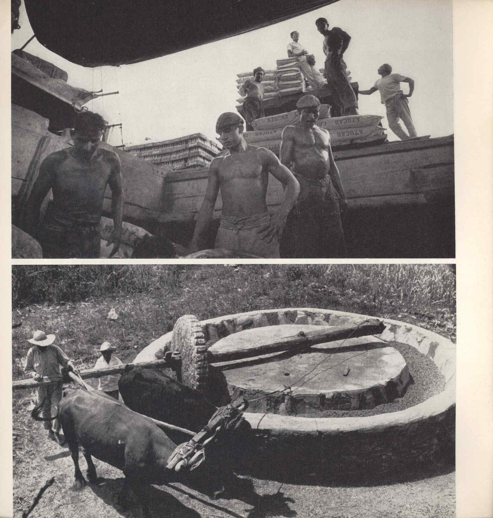 04358.008.003- pag.103