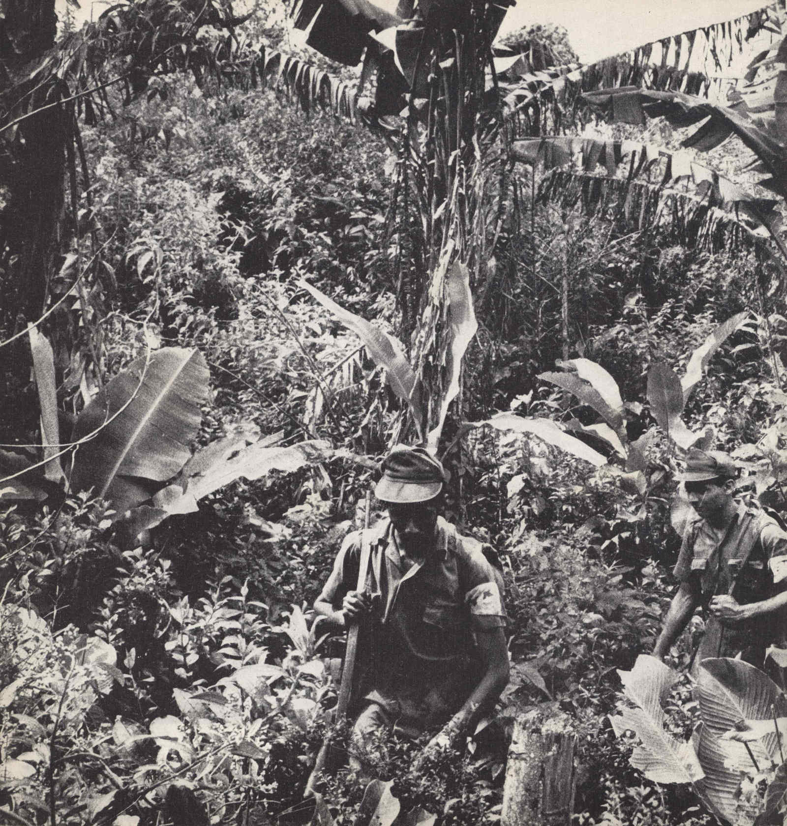 04358.008.003- pag.110