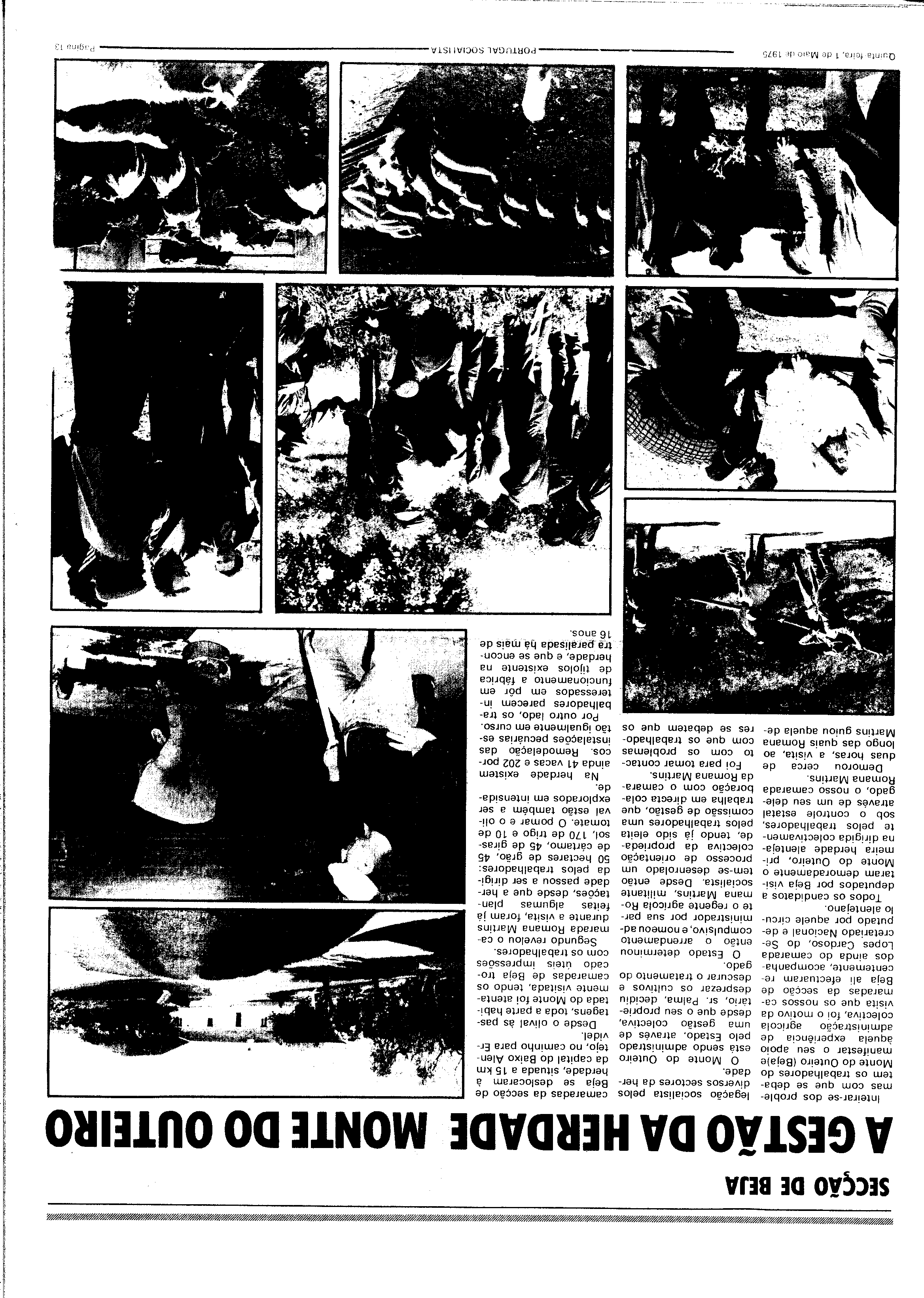 04385.116- pag.13