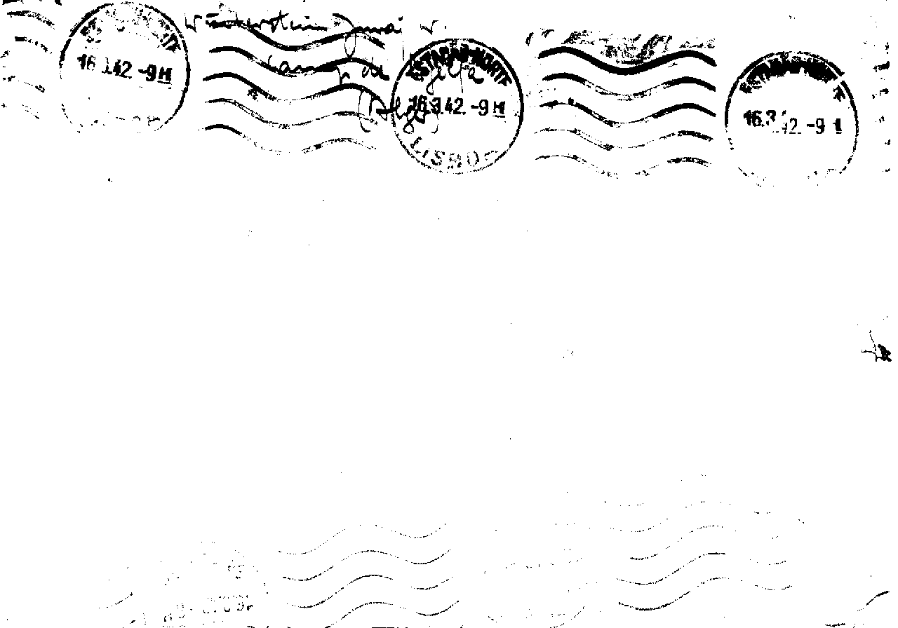04407.004- pag.51