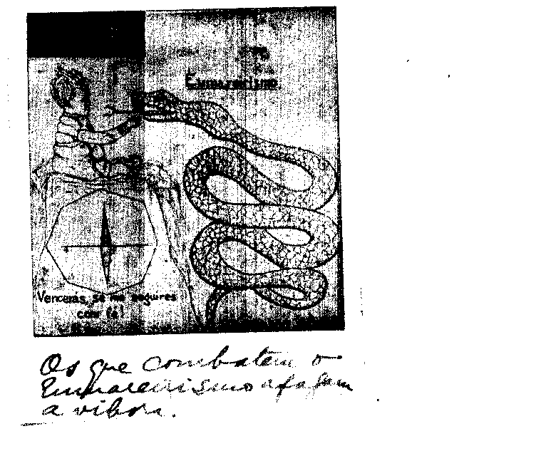 04419.007- pag.75
