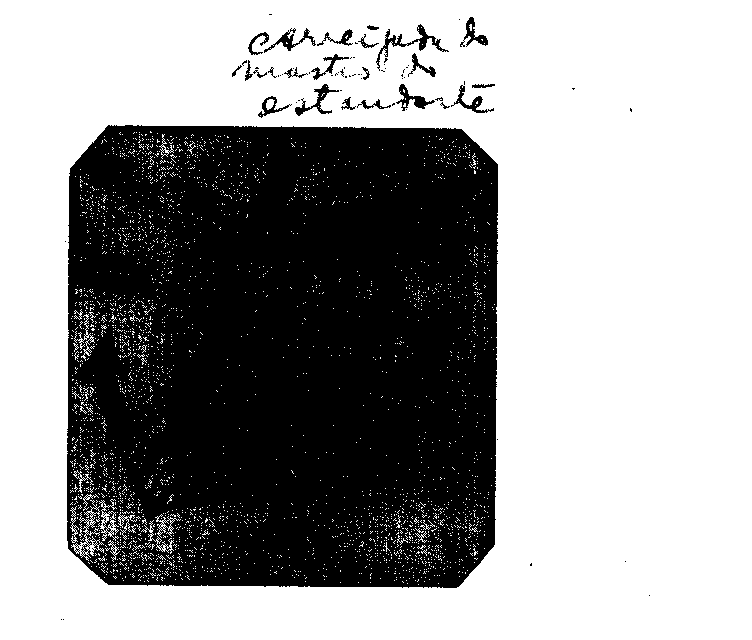04419.007- pag.79