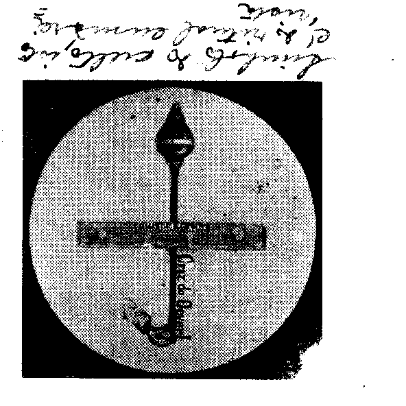 04419.007- pag.85