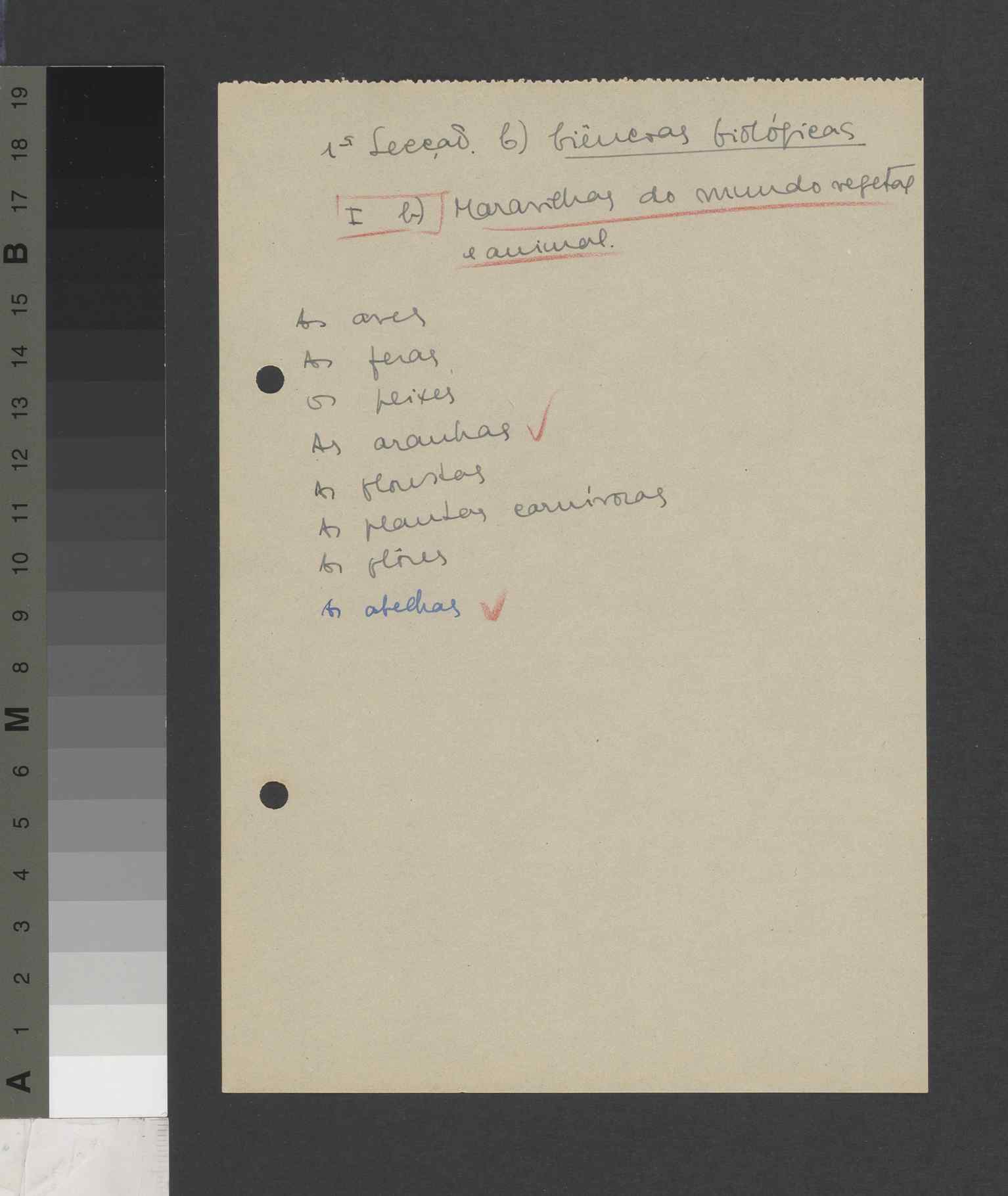 04419.008- pag.135