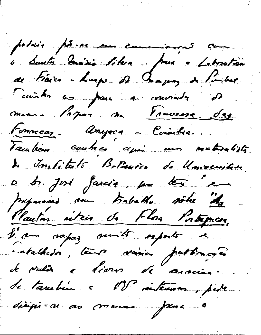 04419.010- pag.55