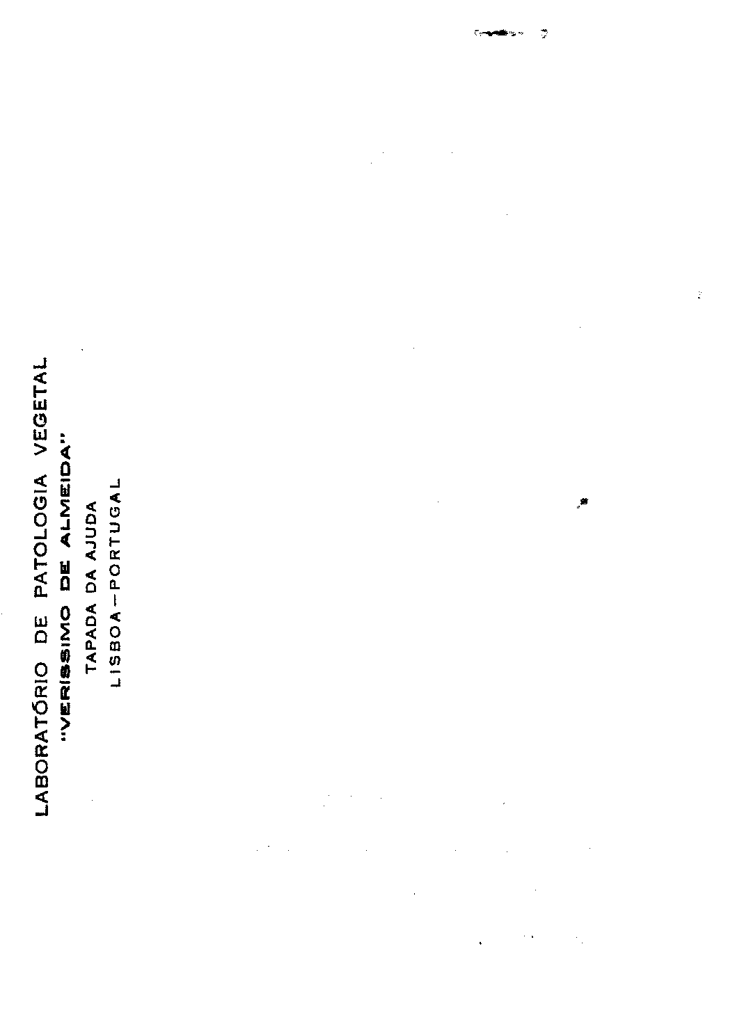 04419.010- pag.126